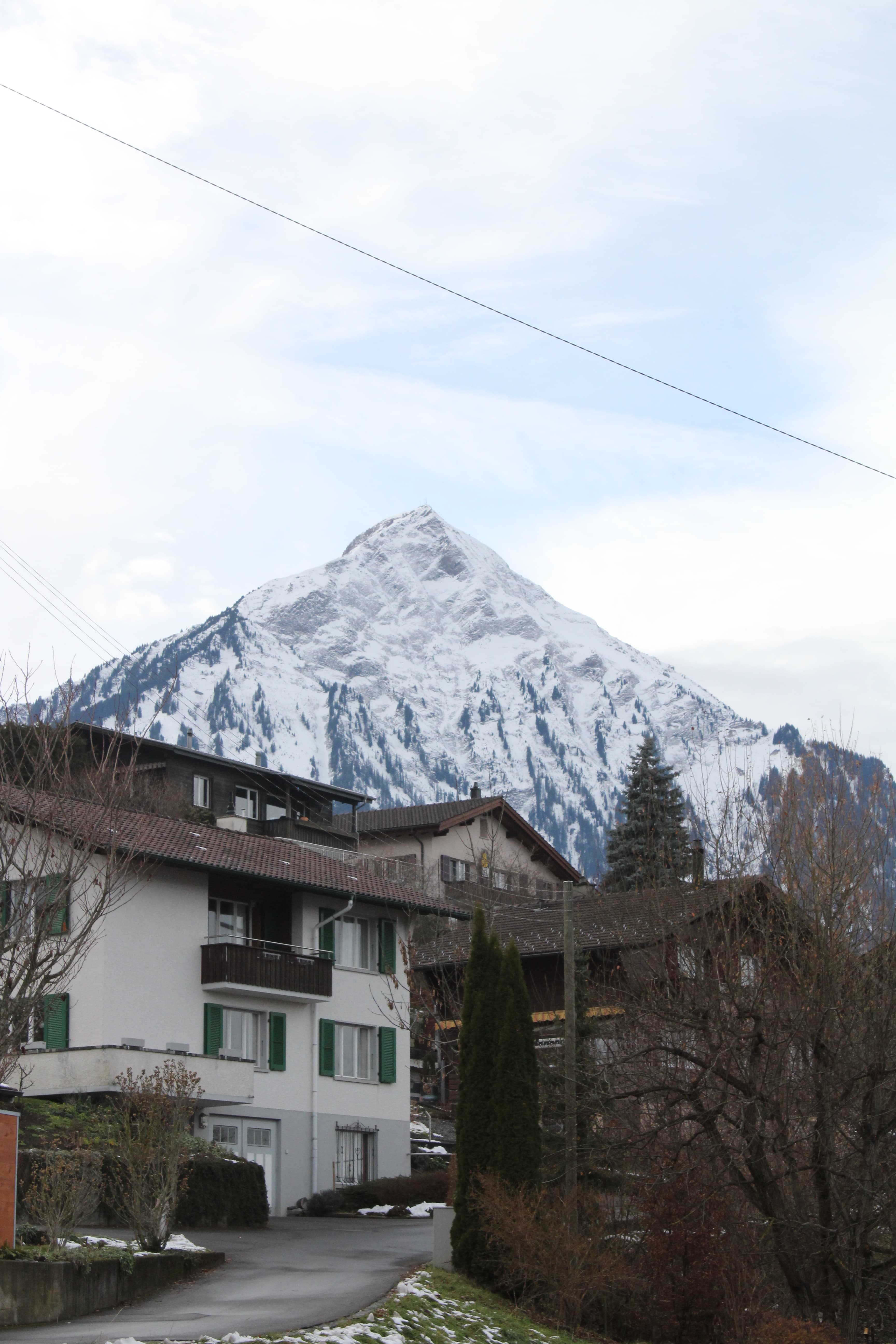 View from patio