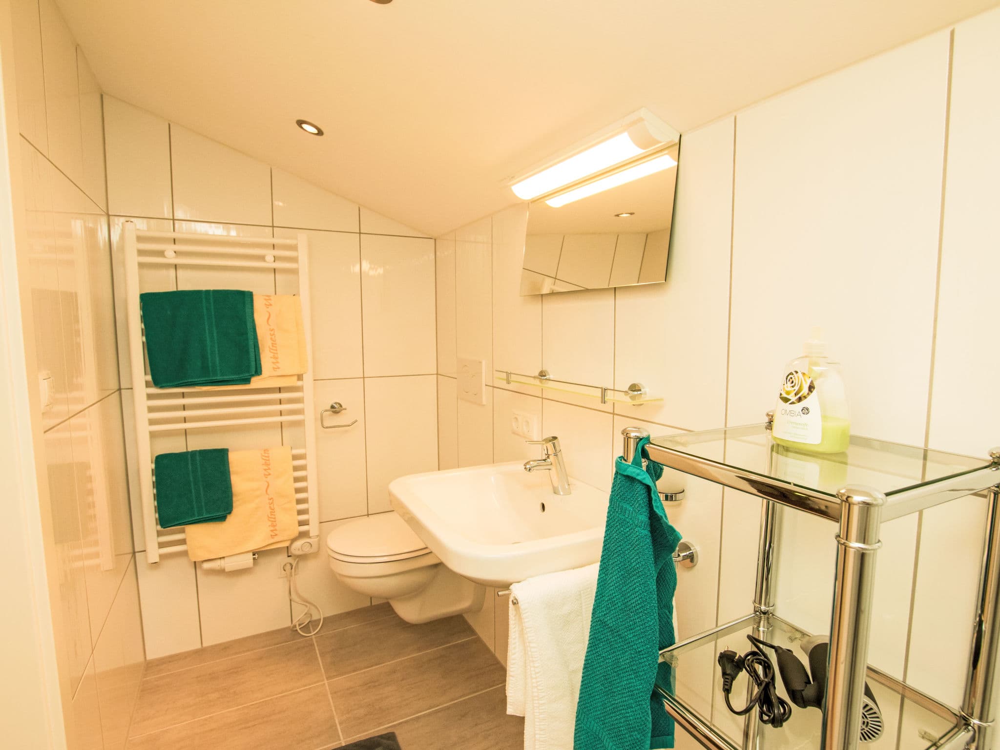 Bathroom / Wellness