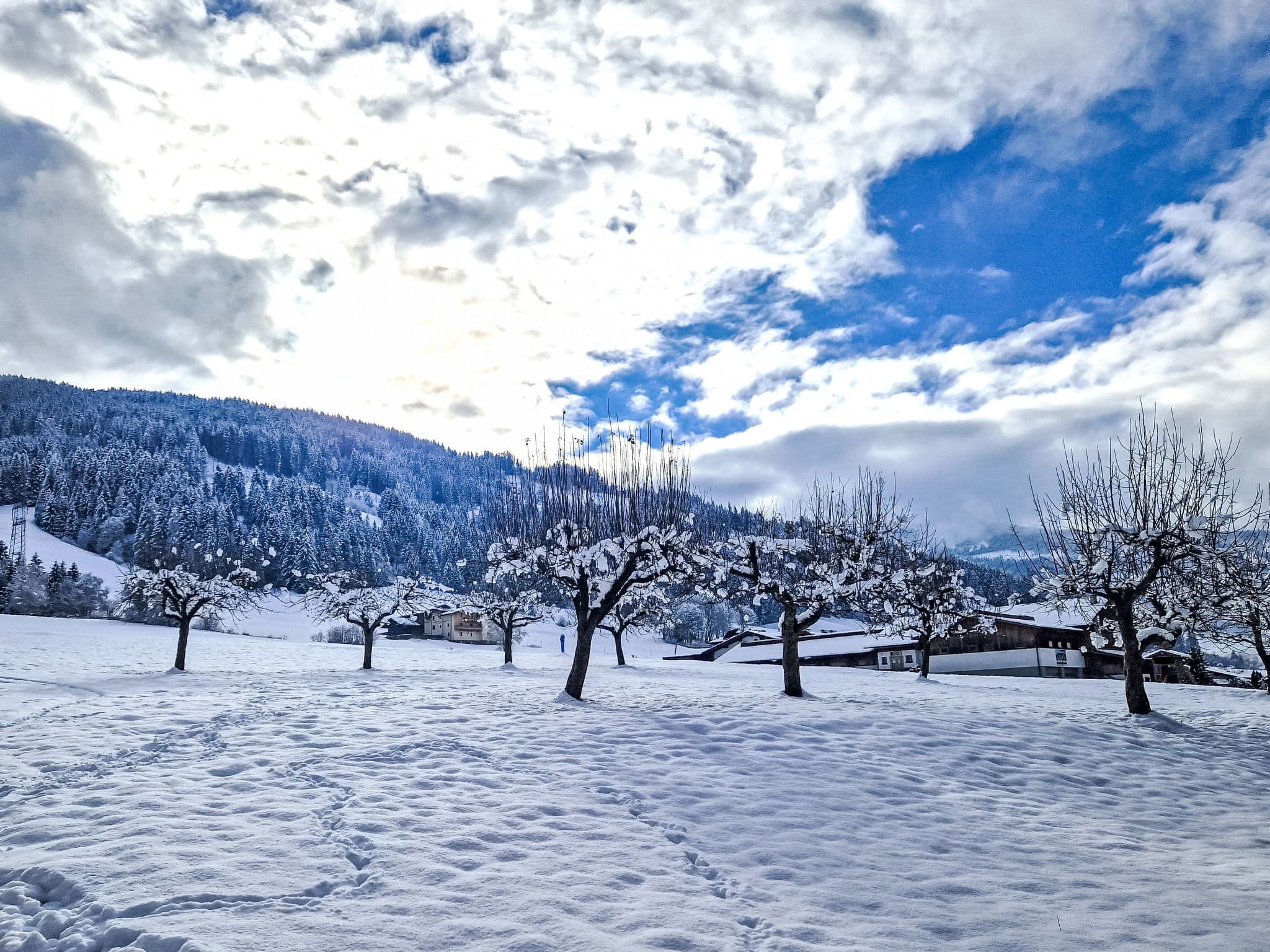 View