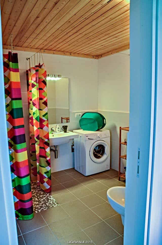 shower, bidet, wide bathroom, whashing machine