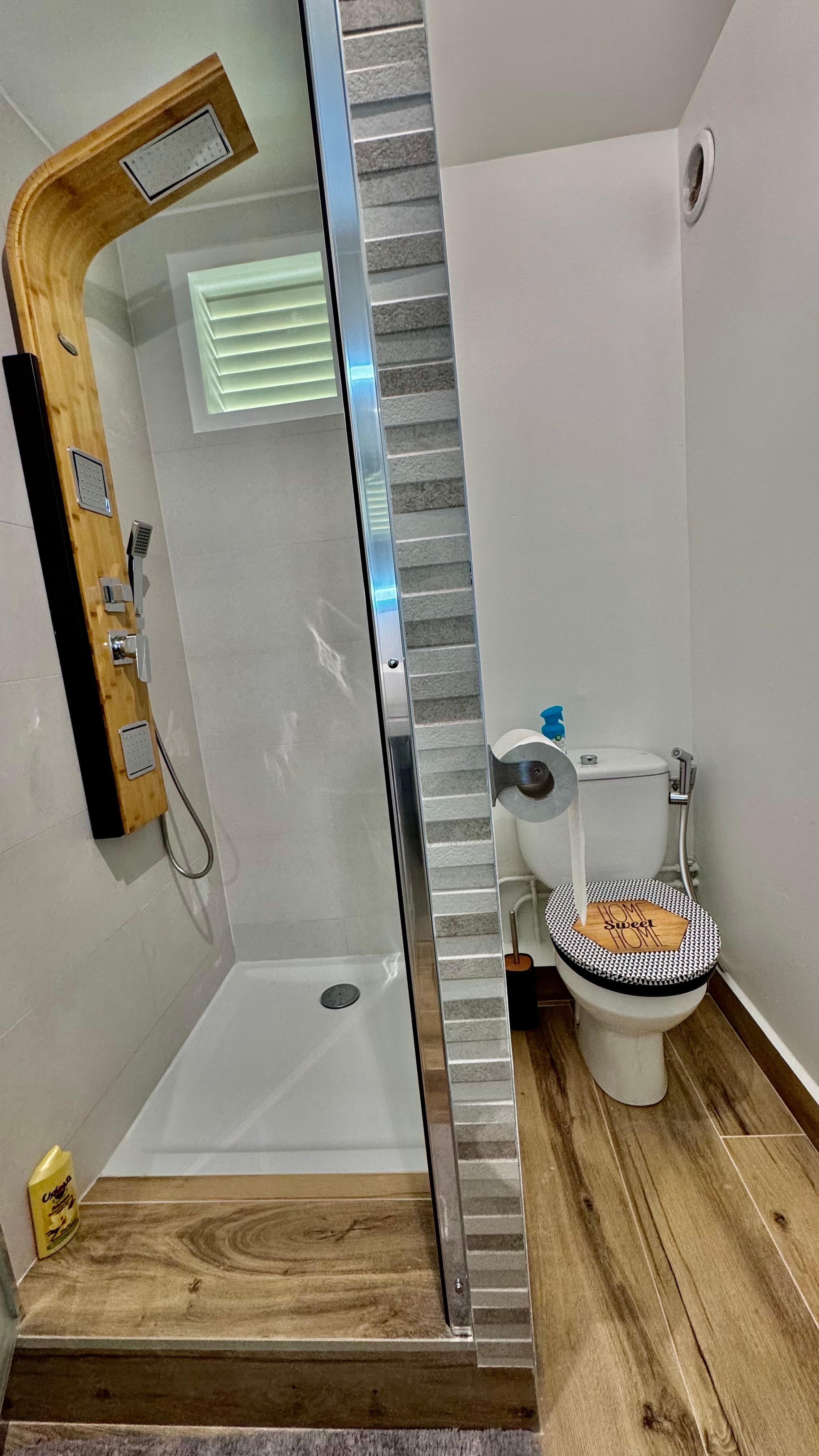 Salle de bain vue douche et wc- Studio TI KAZ BONNEUW - Village Vacances Sainte Anne GUADELOUPE - Co