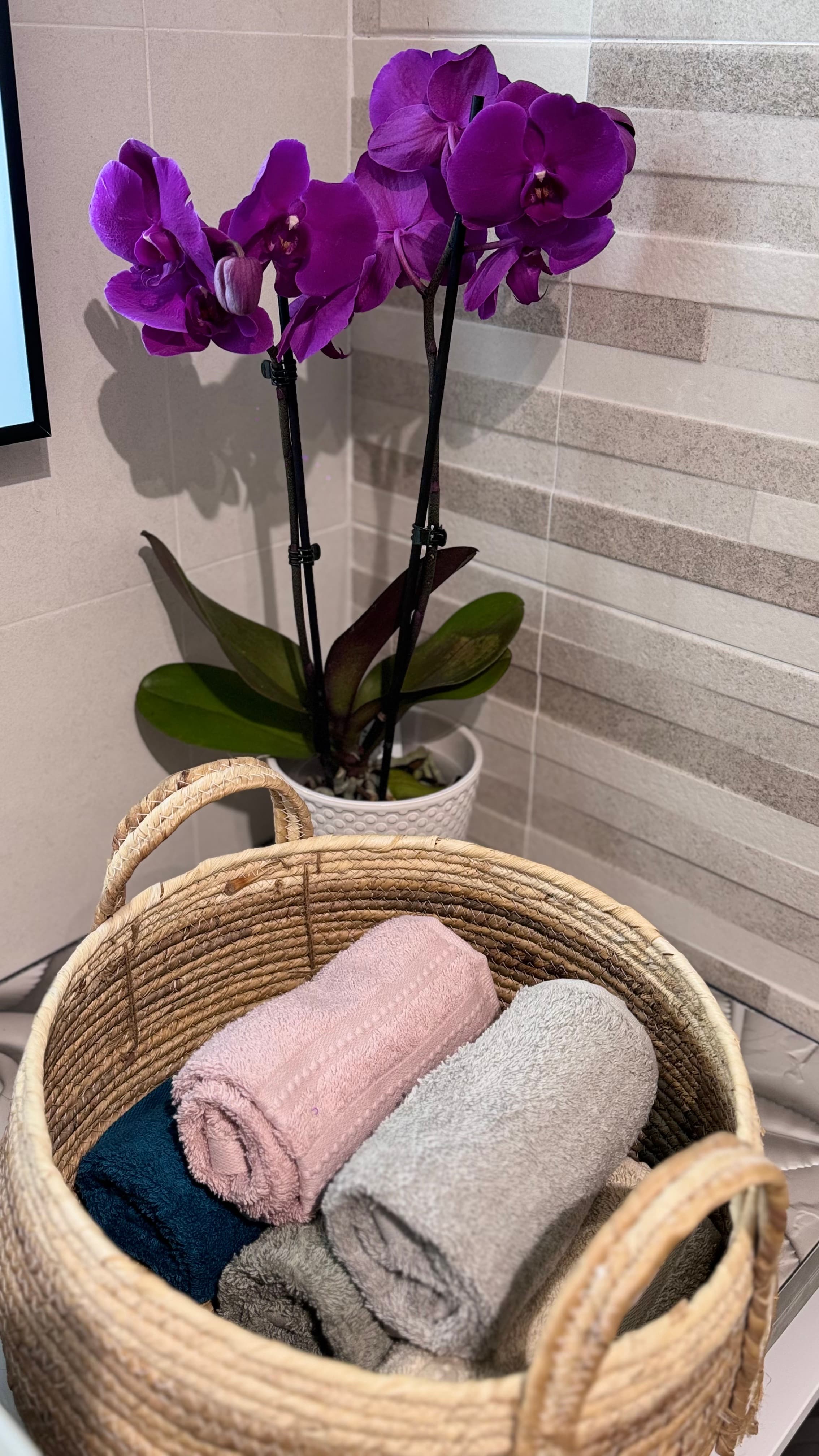 Salle de bain petites serviette - Studio TI KAZ BONNEUW - Village Vacances Sainte Anne GUADELOUPE - 