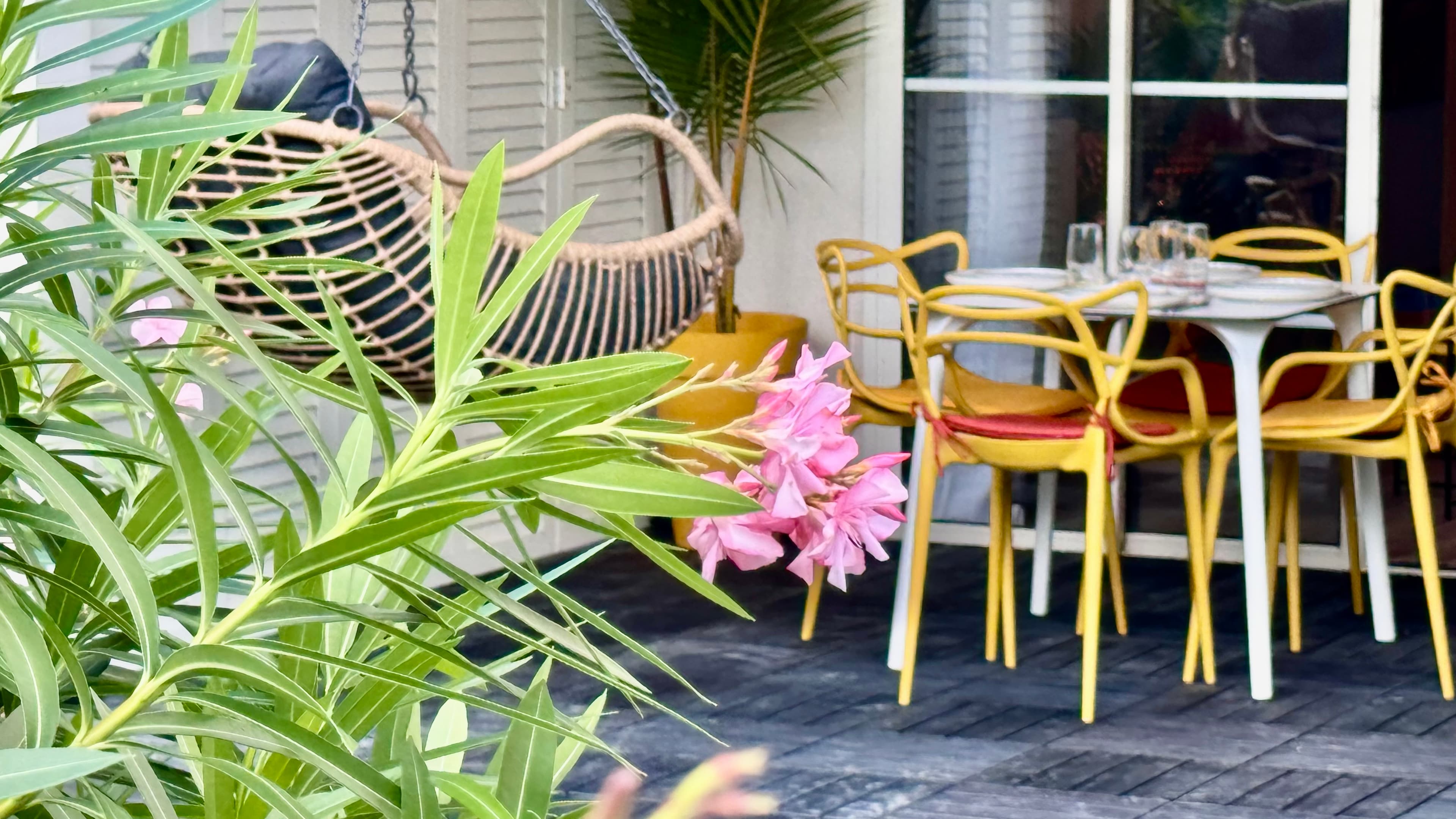 Extérieur vue terrasse 3 - TI KAZ SOLEY - PIERRE ET VACANCES MARTINIQUE - Conciergerie SHIVAKEYS