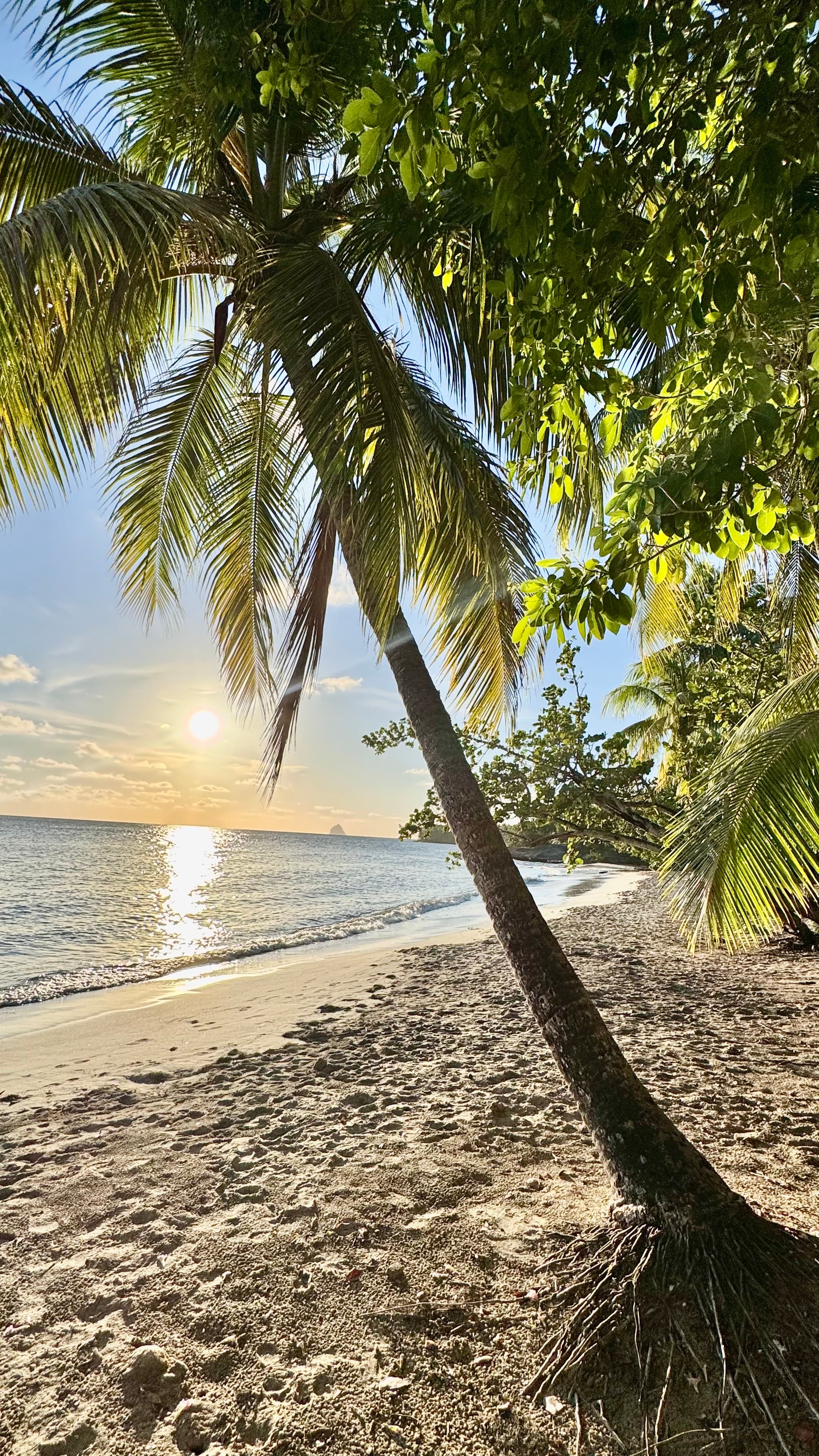 Plage vue sur le diamant n°2- TI KAZ SOLEY - PIERRE ET VACANCES MARTINIQUE - Conciergerie SHIVAKEYS