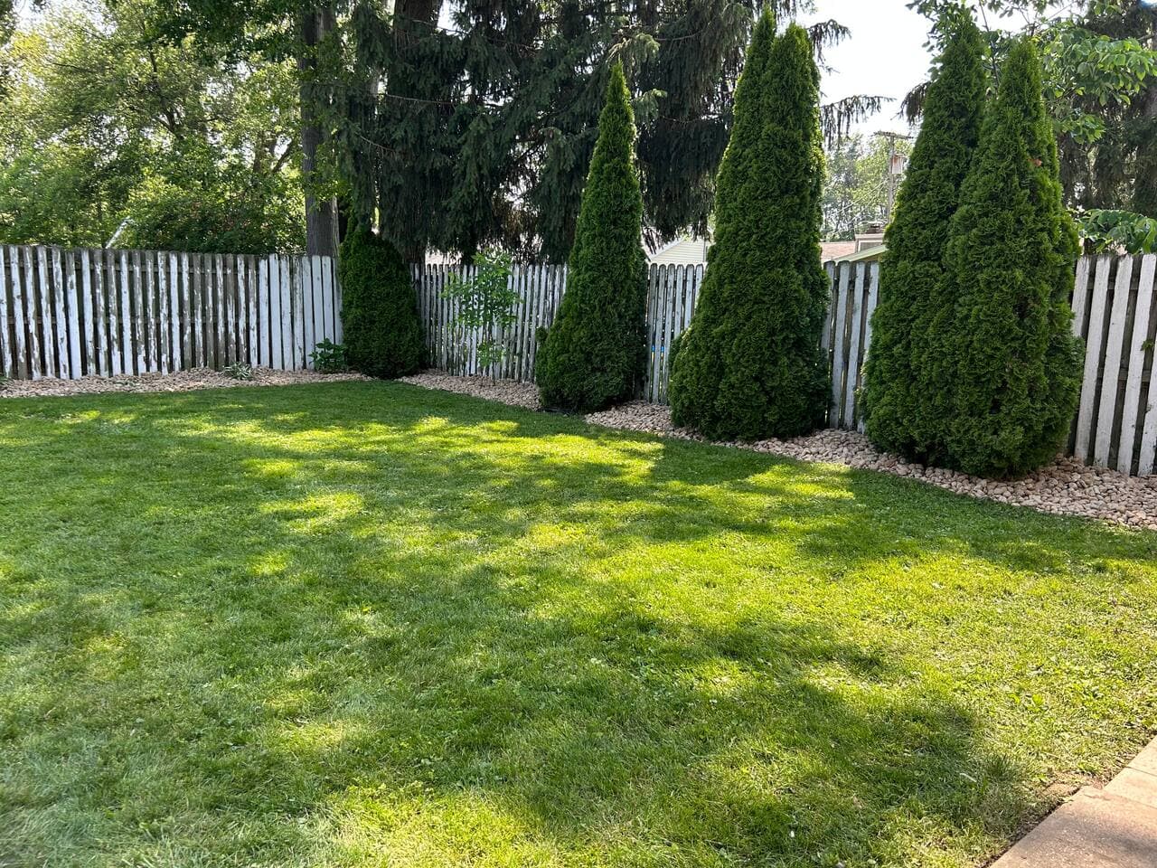 Gallery Image 25
