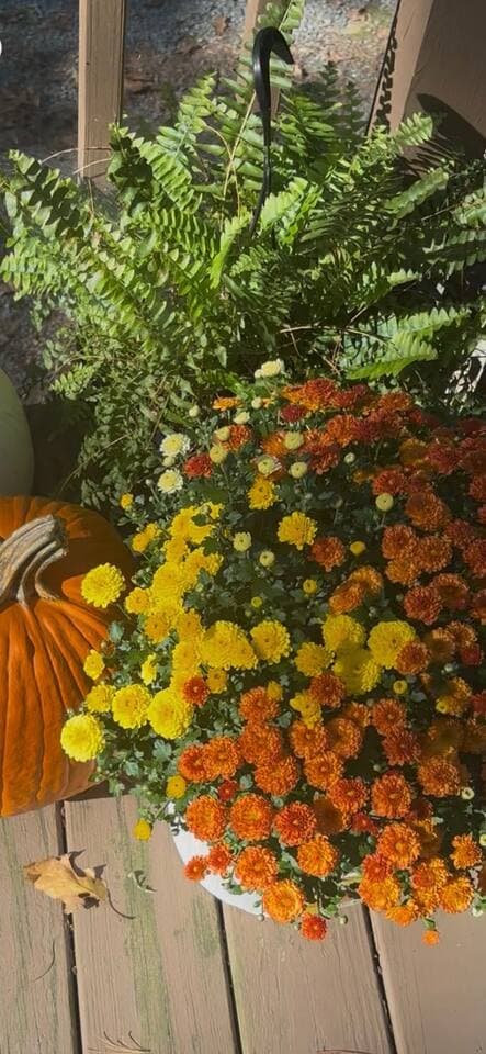 Enjoy the farm fresh flowers!