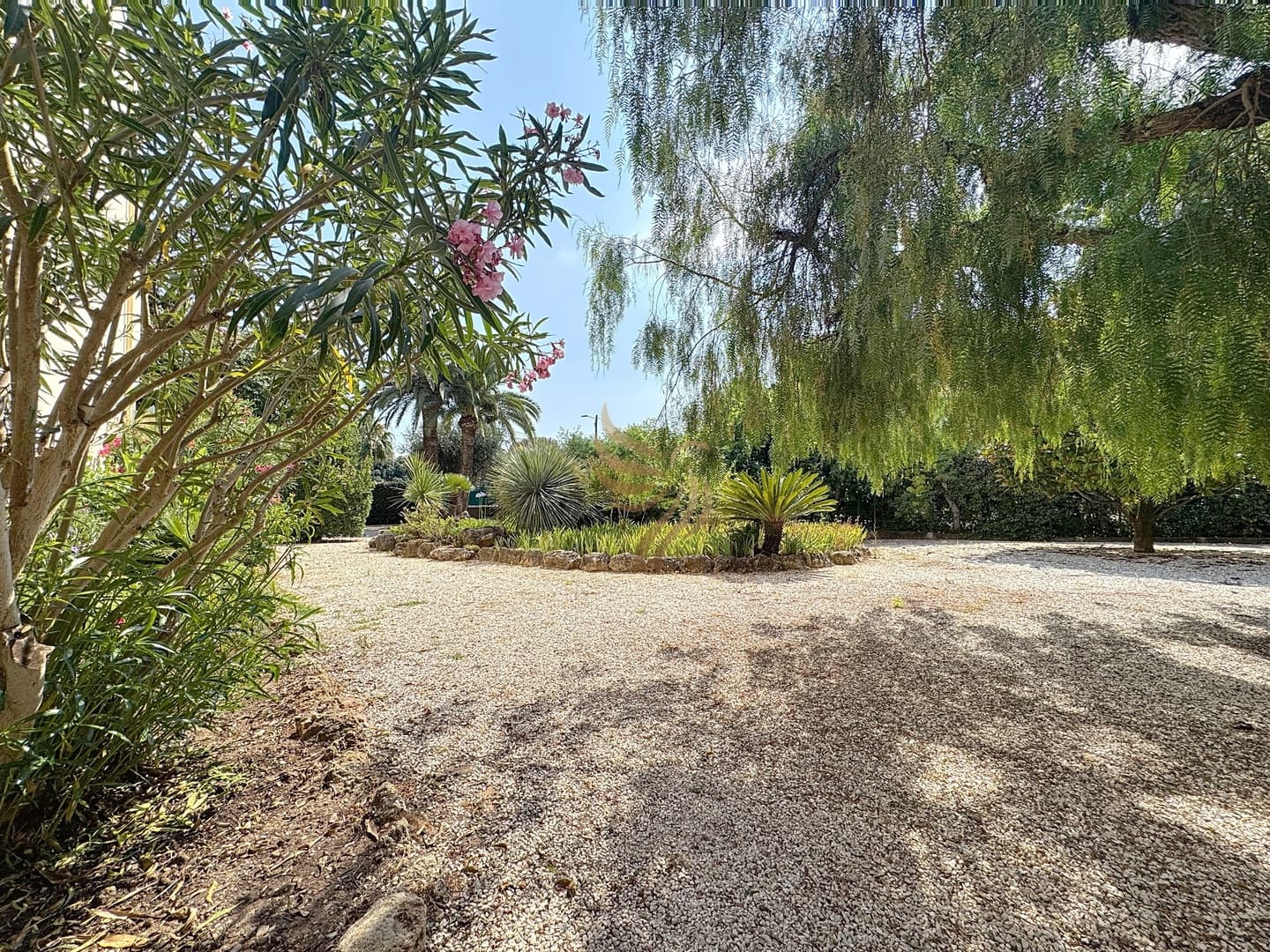 Gallery Image 38
