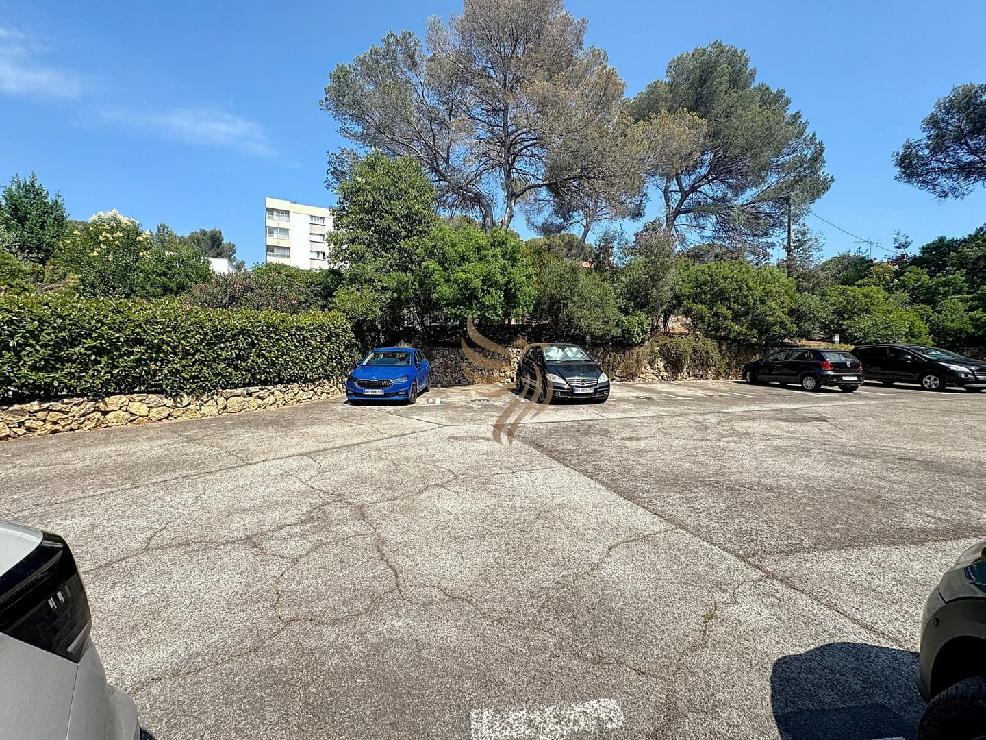 Gallery Image 41