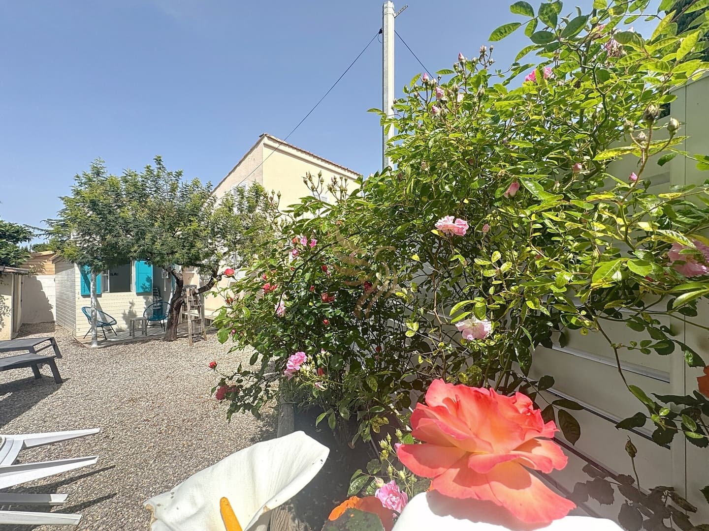 Gallery Image 35