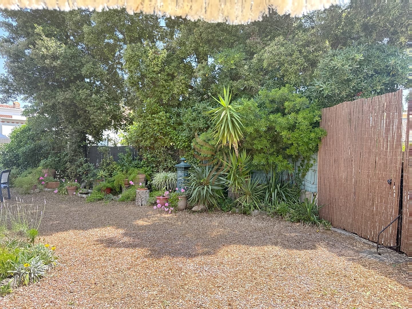 Gallery Image 20