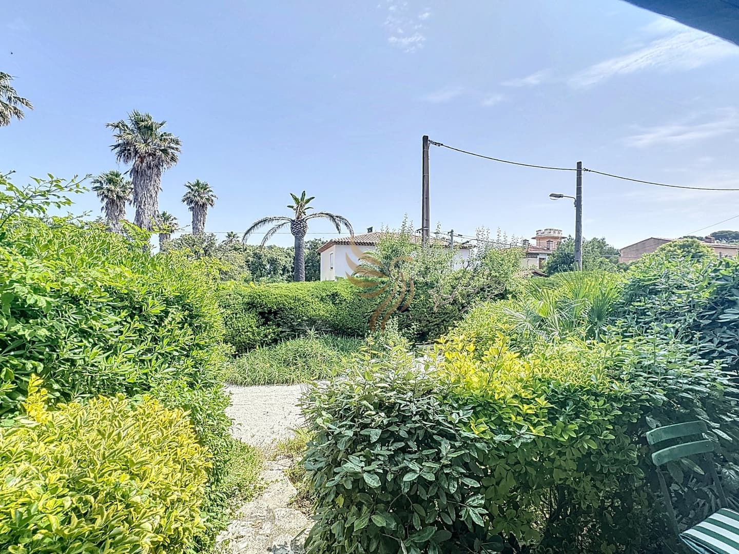 Gallery Image 13