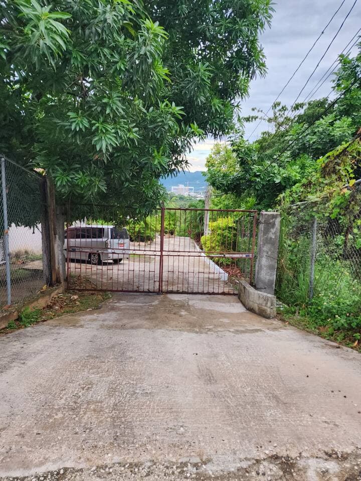 Gallery Image 15