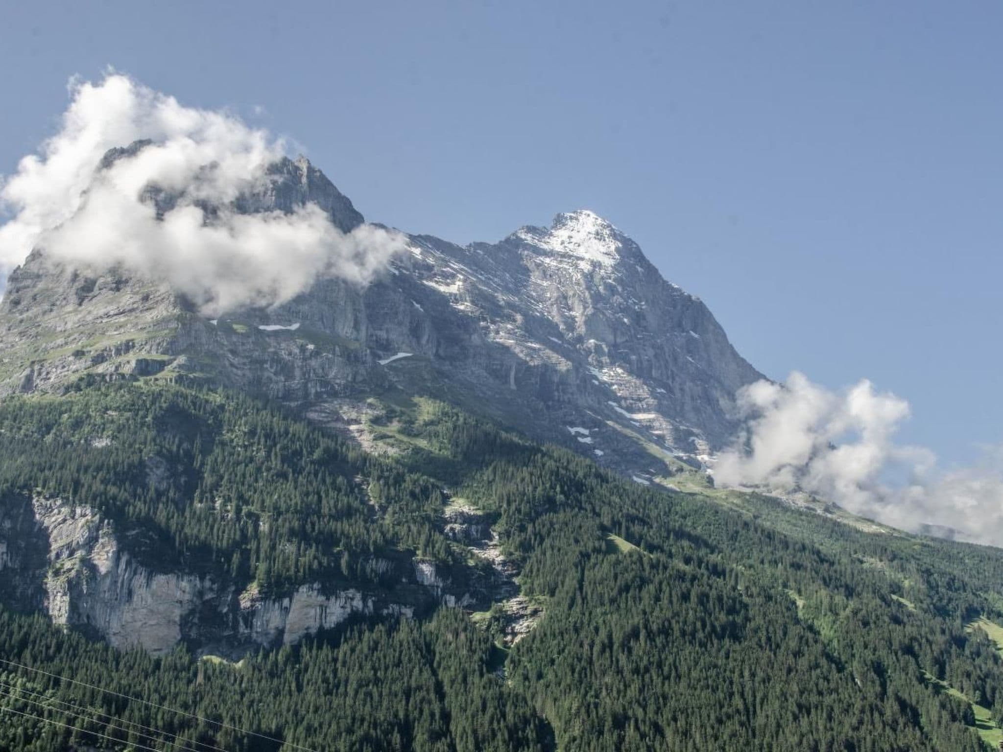 Gallery Image 11