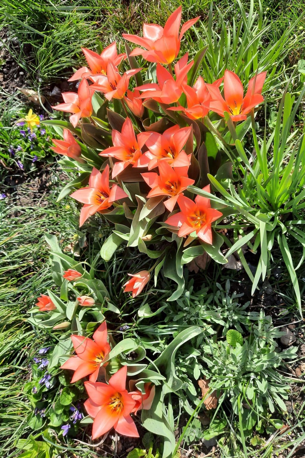 Gallery Image 17