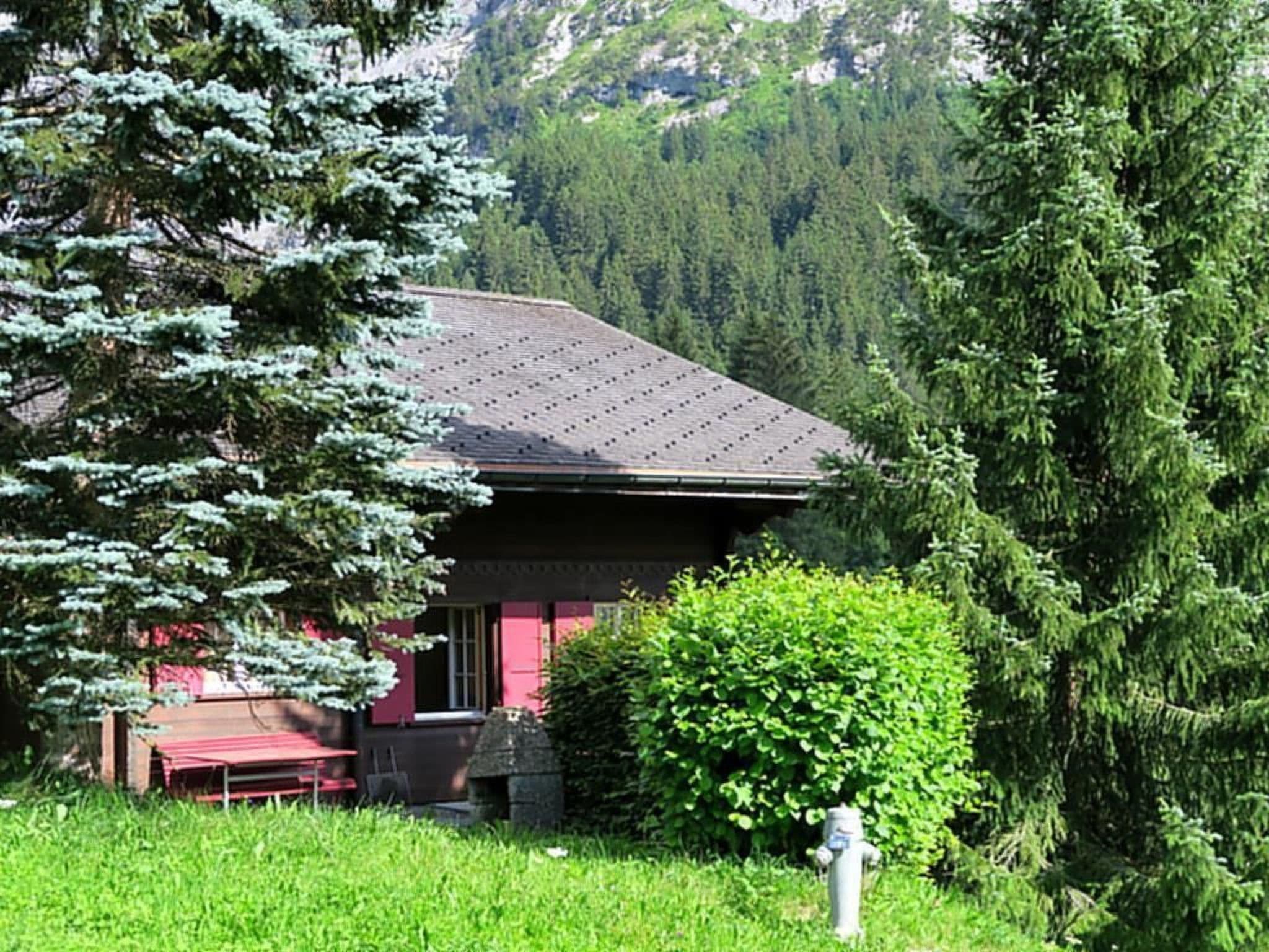 Gallery Image 6