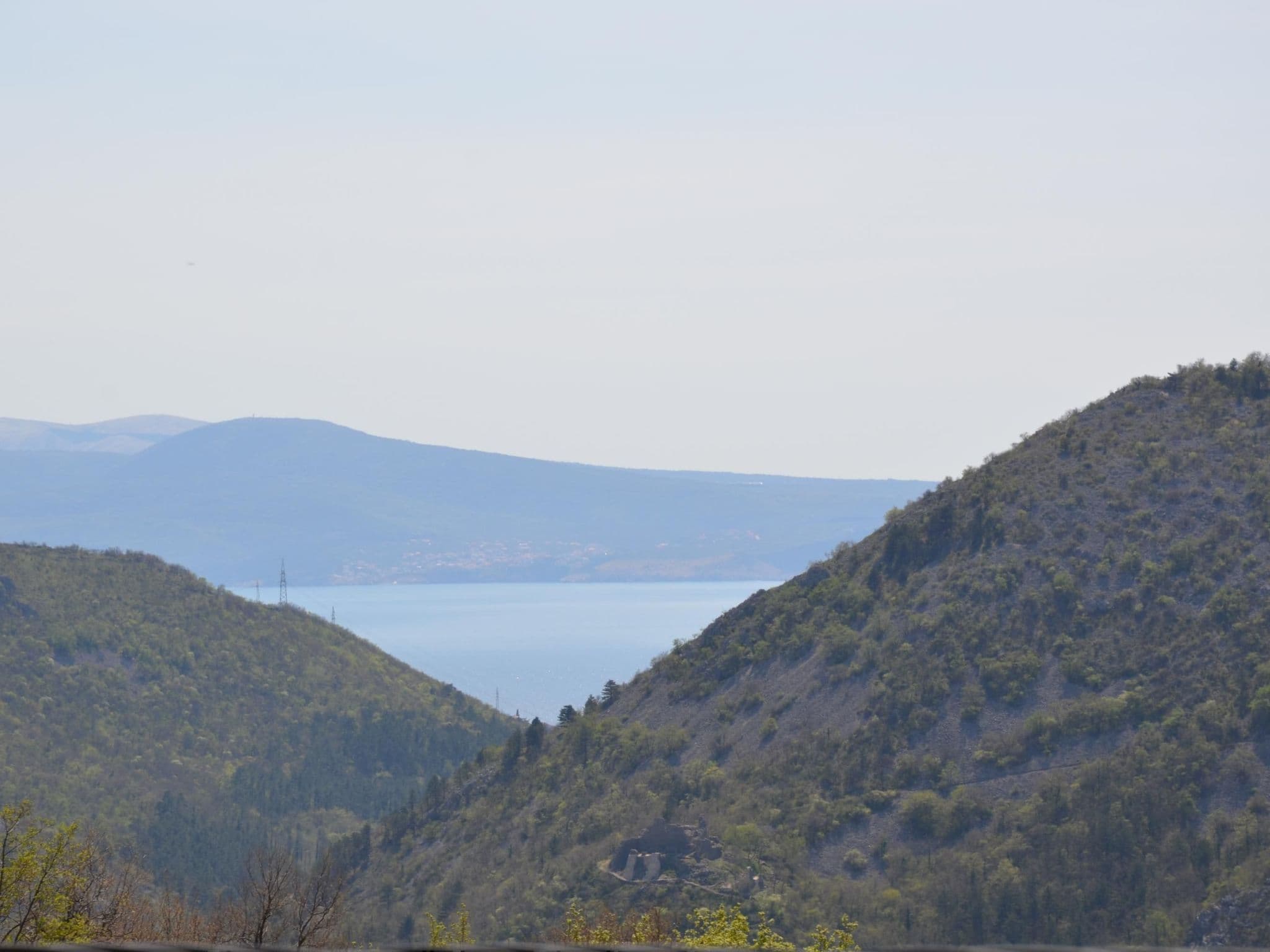 View