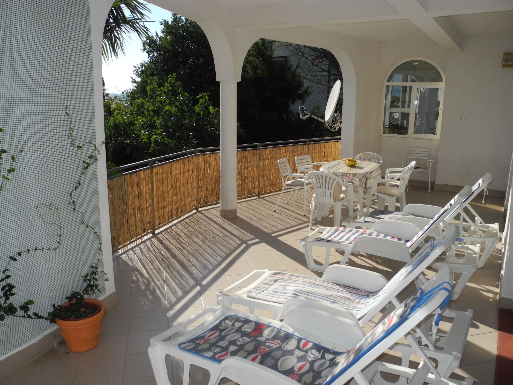 Terrace