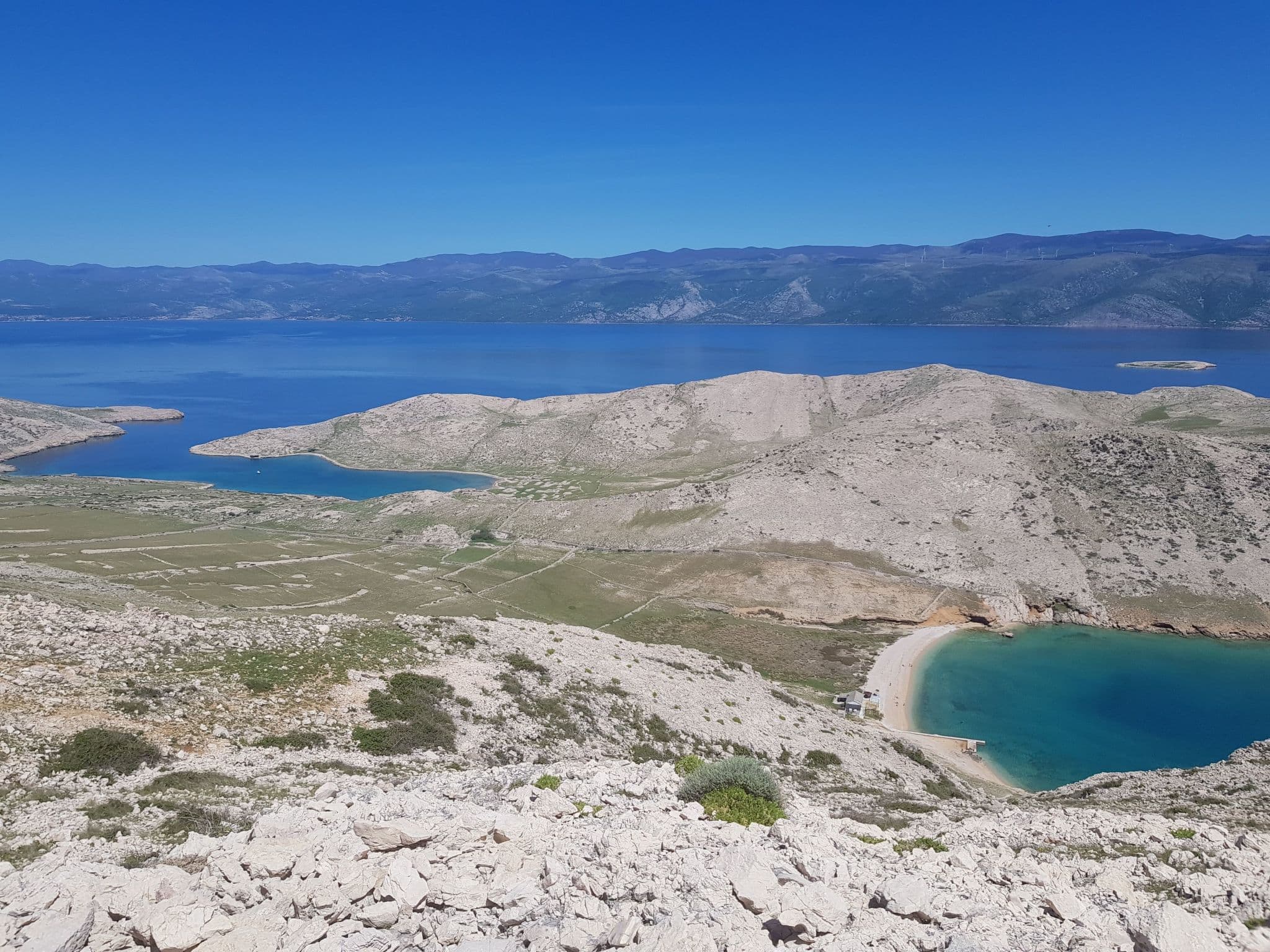 View