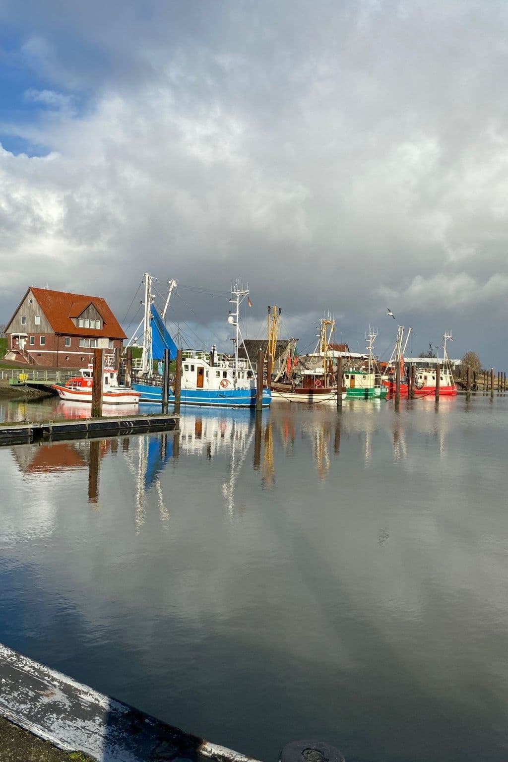 Gallery Image 20