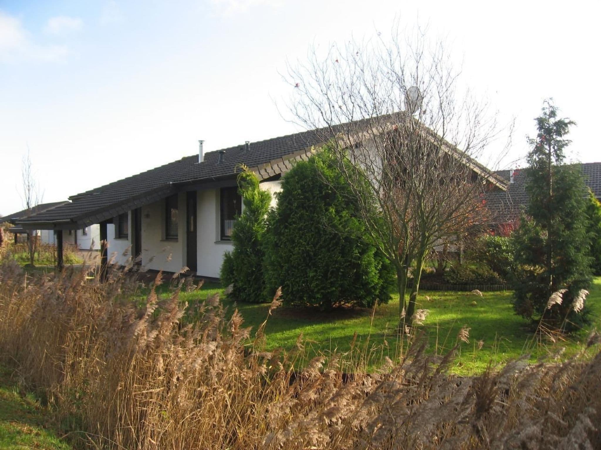 Gallery Image 21
