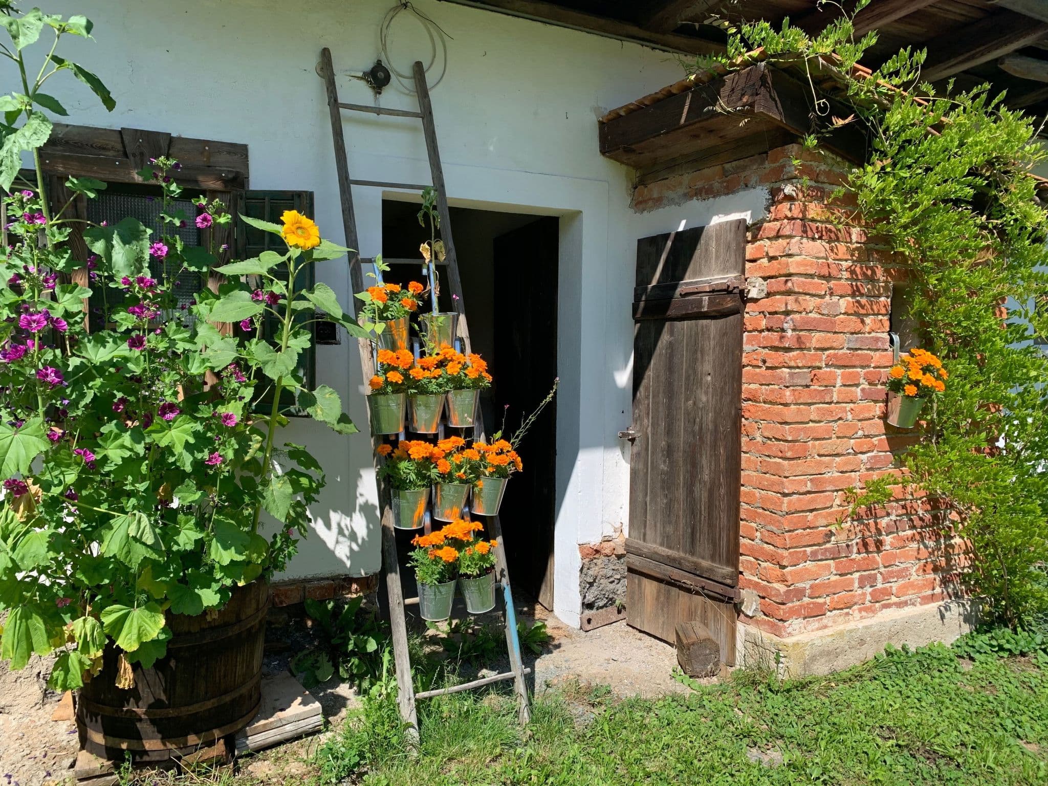 Gallery Image 37
