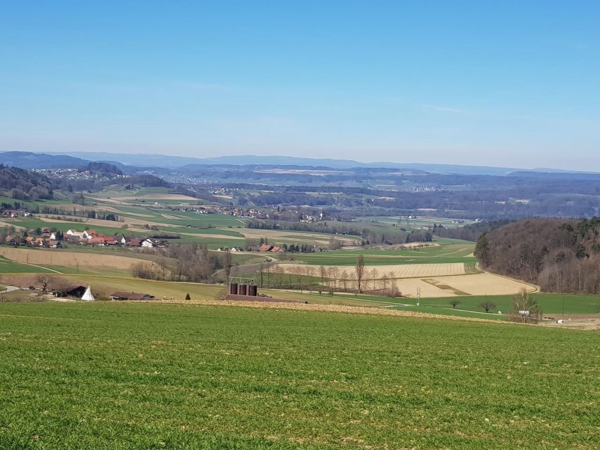 View