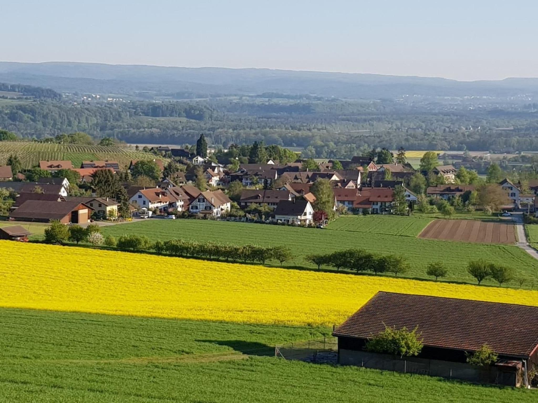View
