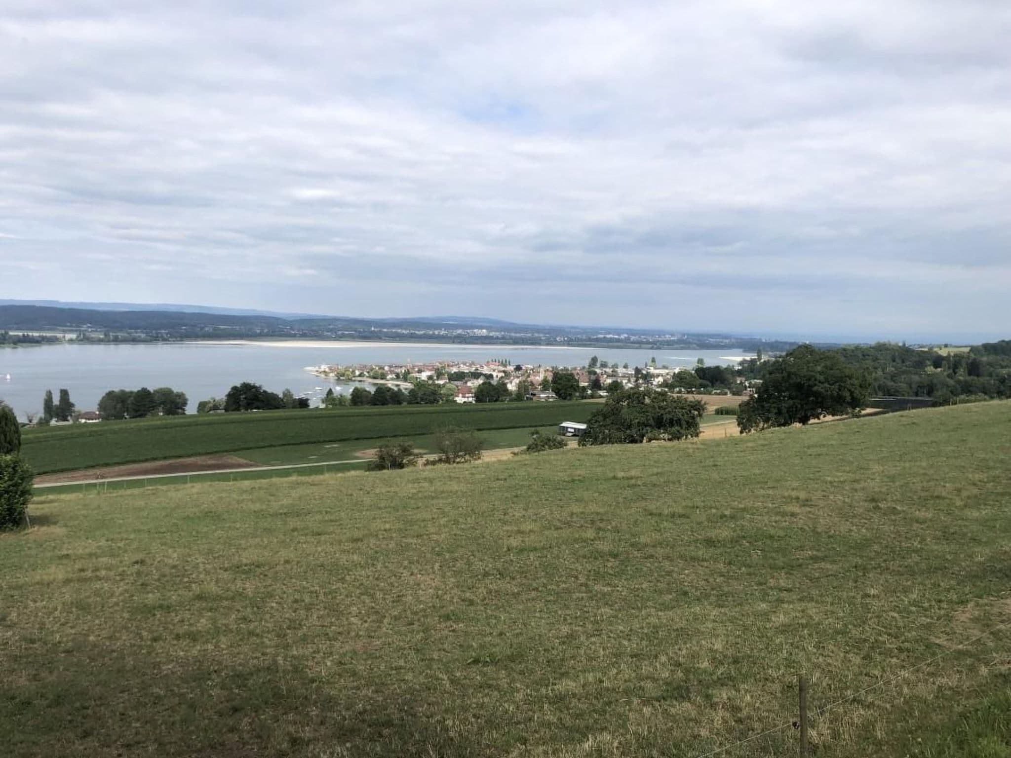 View