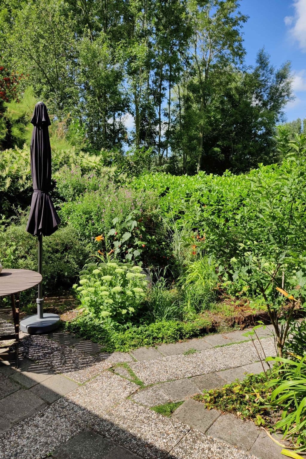 Gallery Image 14