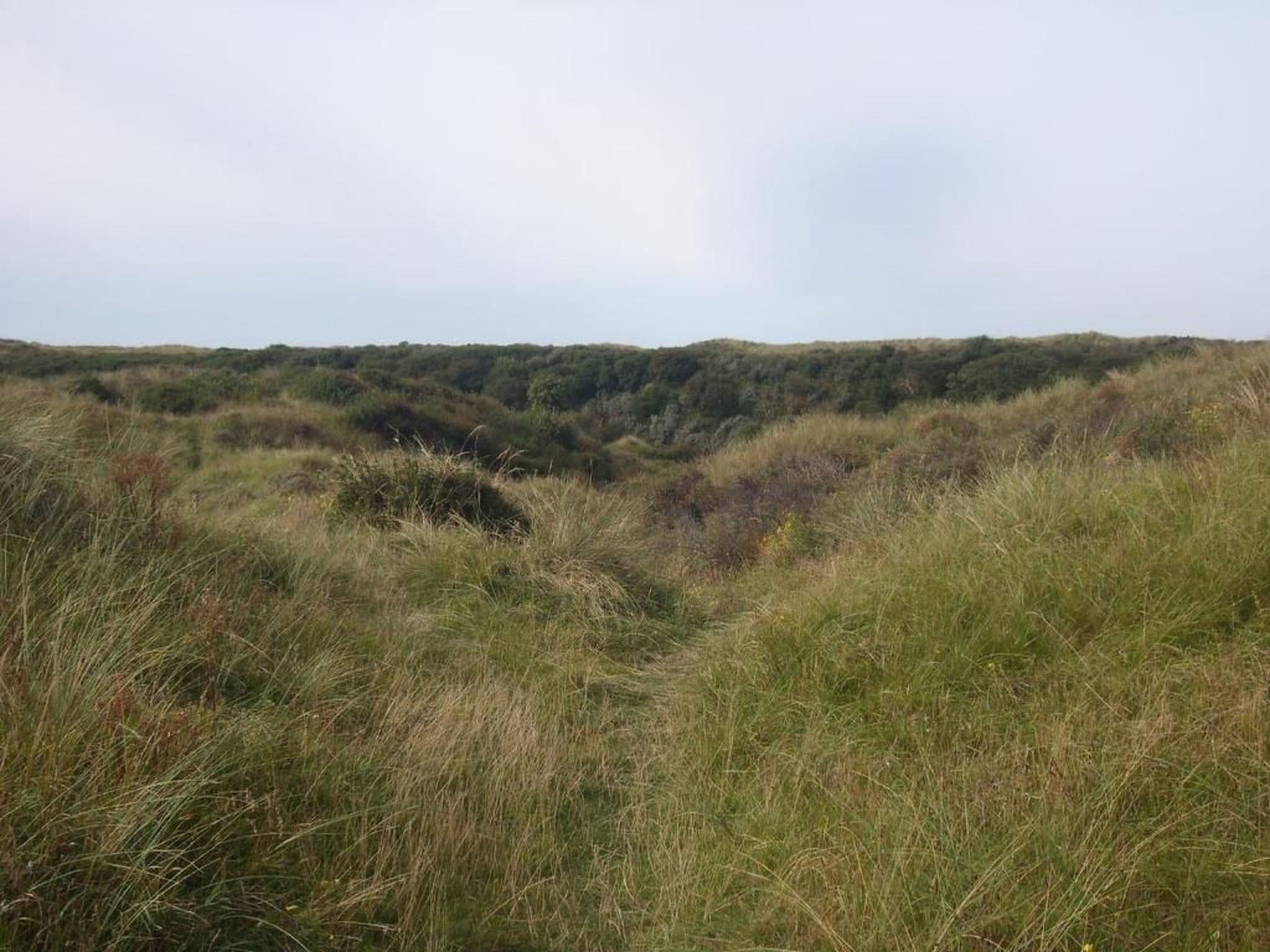 Gallery Image 21