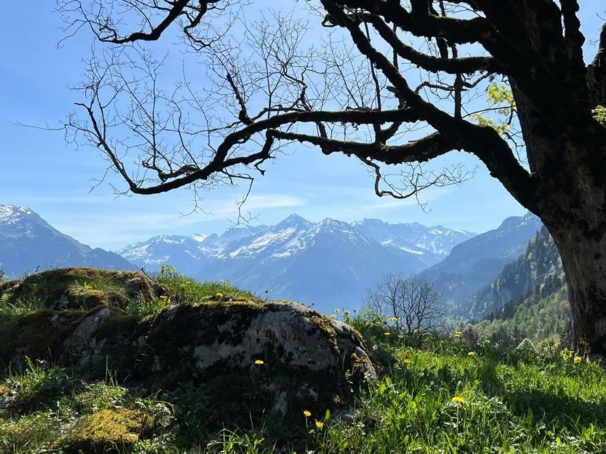 View