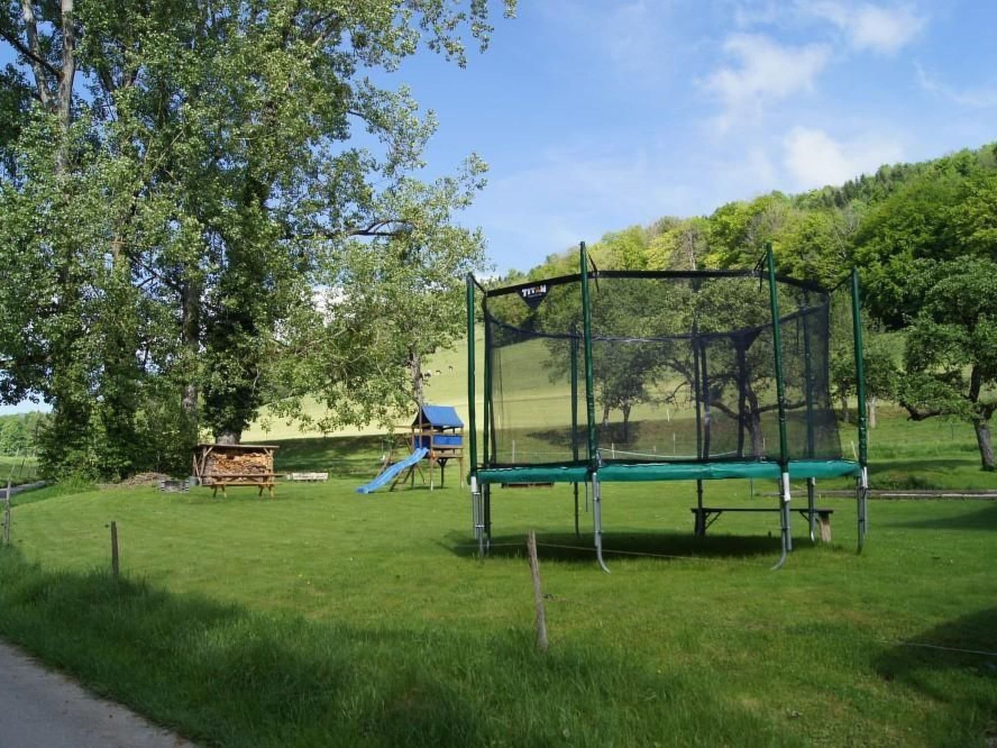 Gallery Image 11