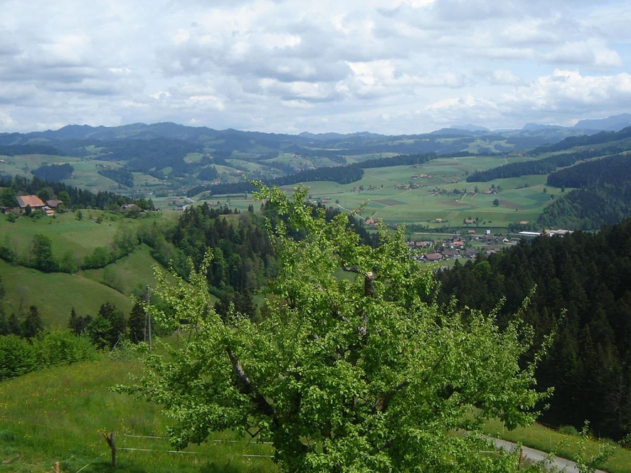 View