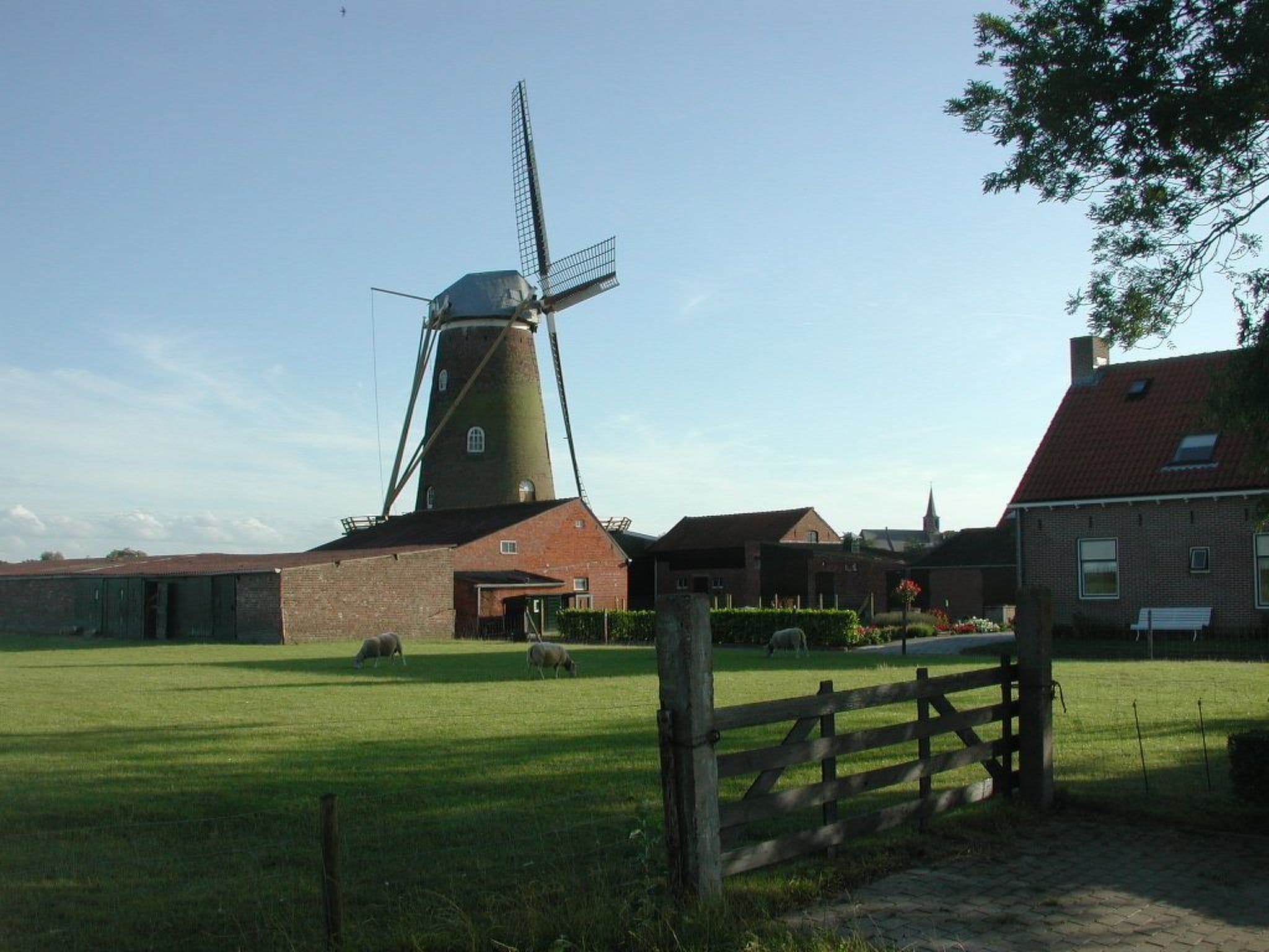 Gallery Image 13