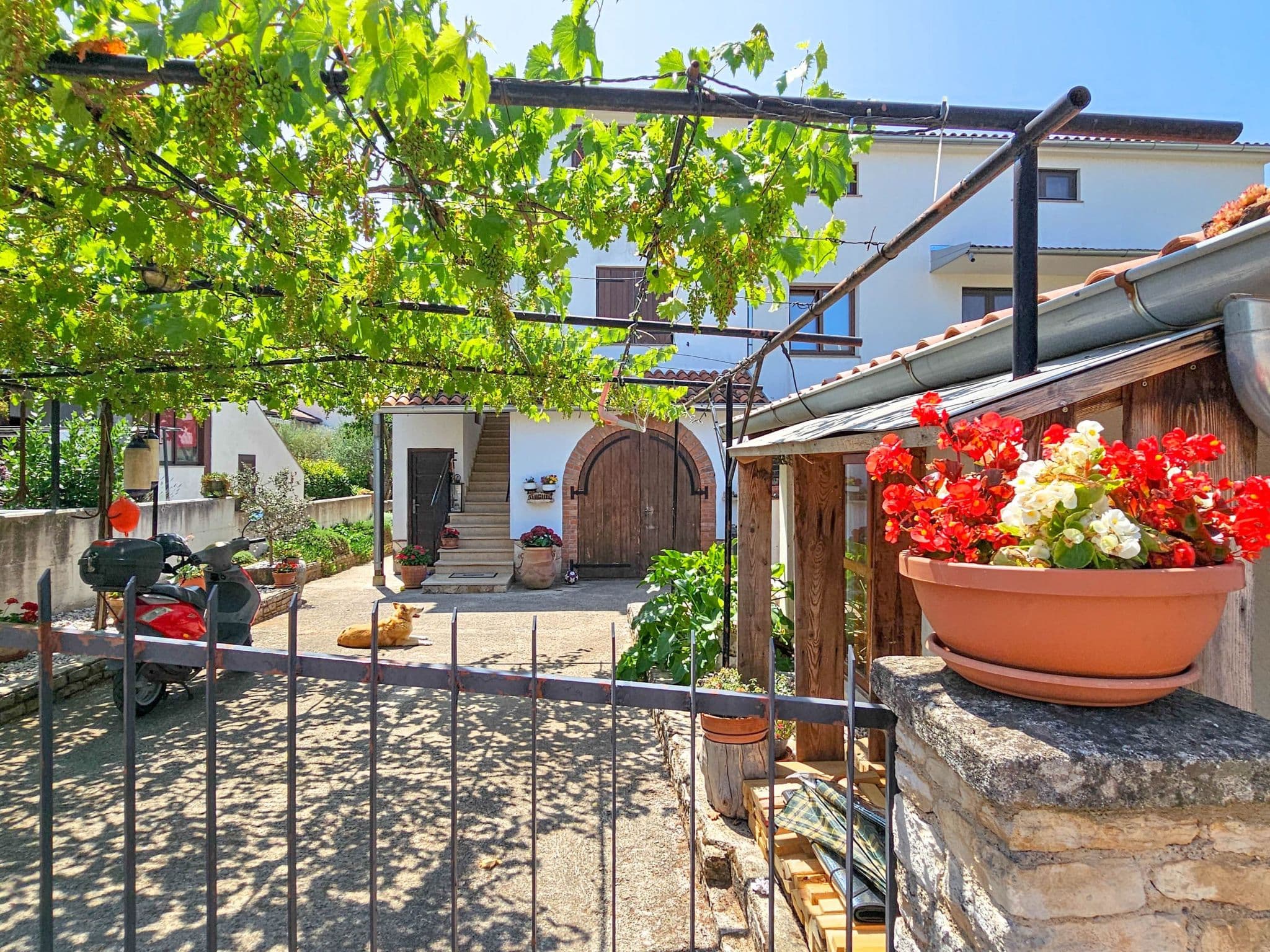 House