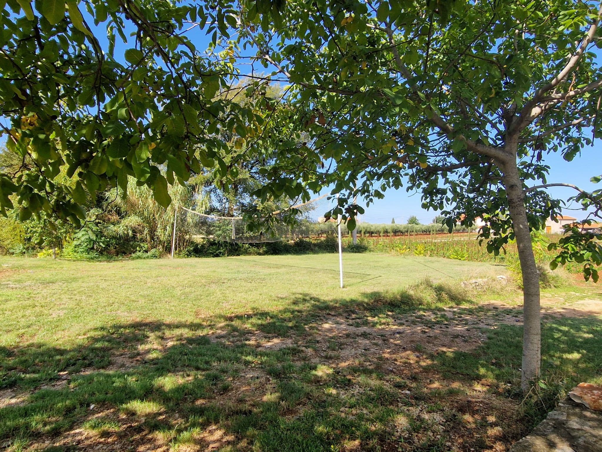 Gallery Image 59