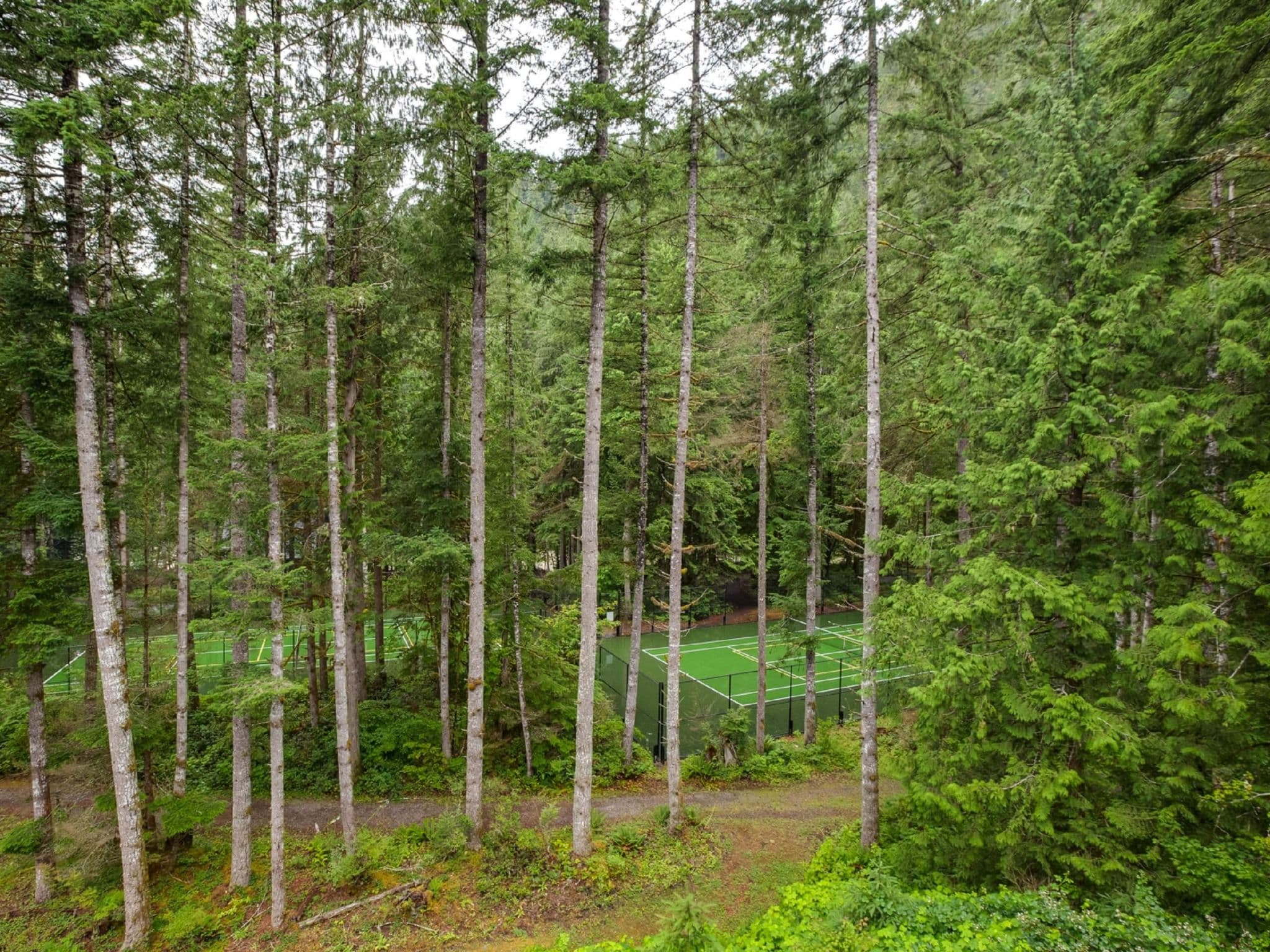 Gallery Image 15