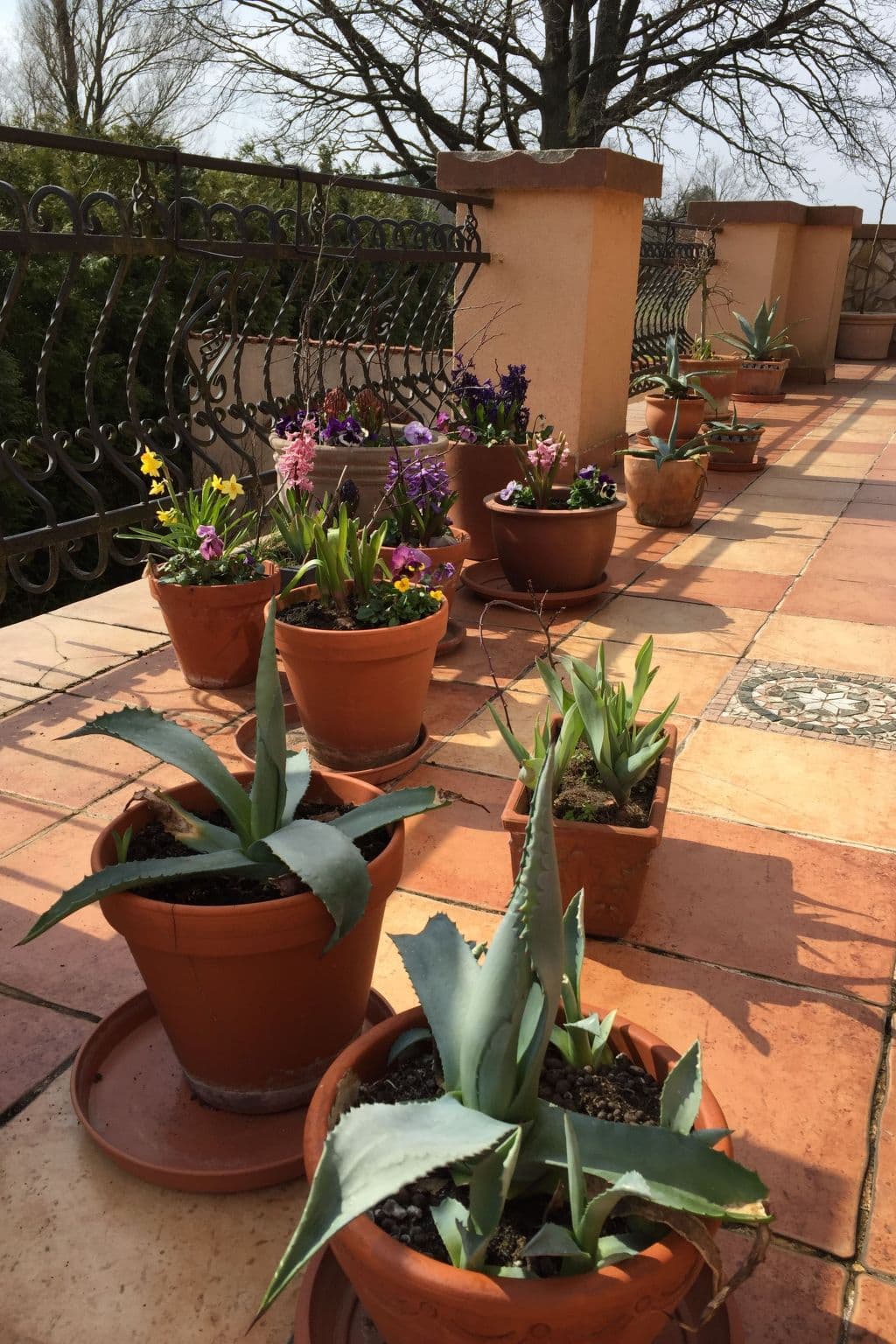Terrace