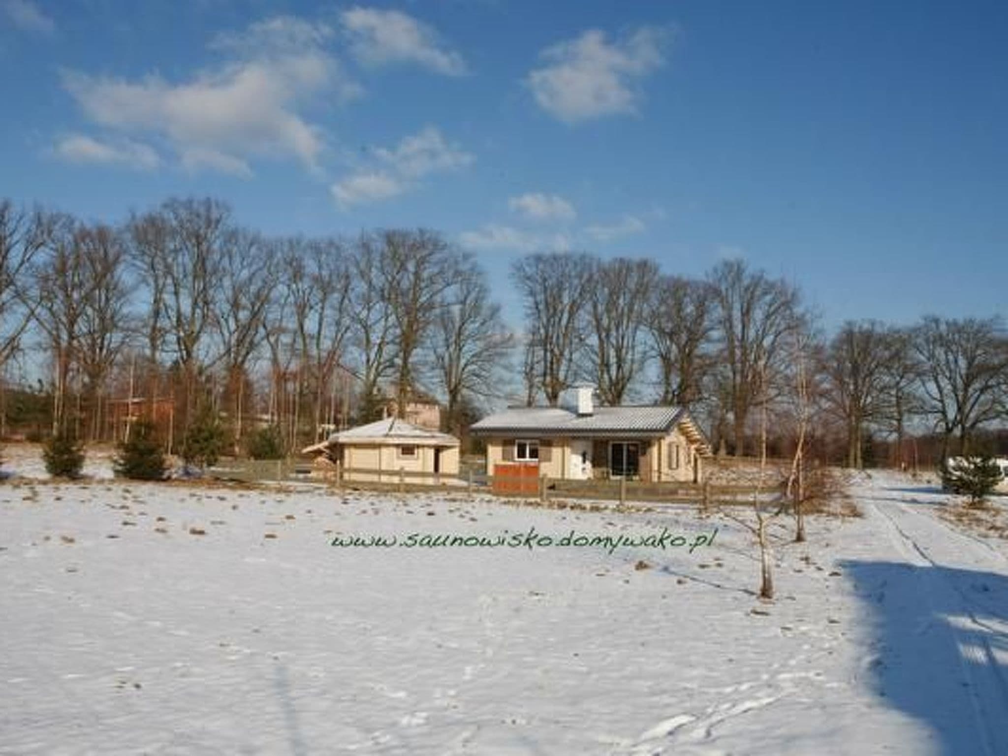 Gallery Image 11