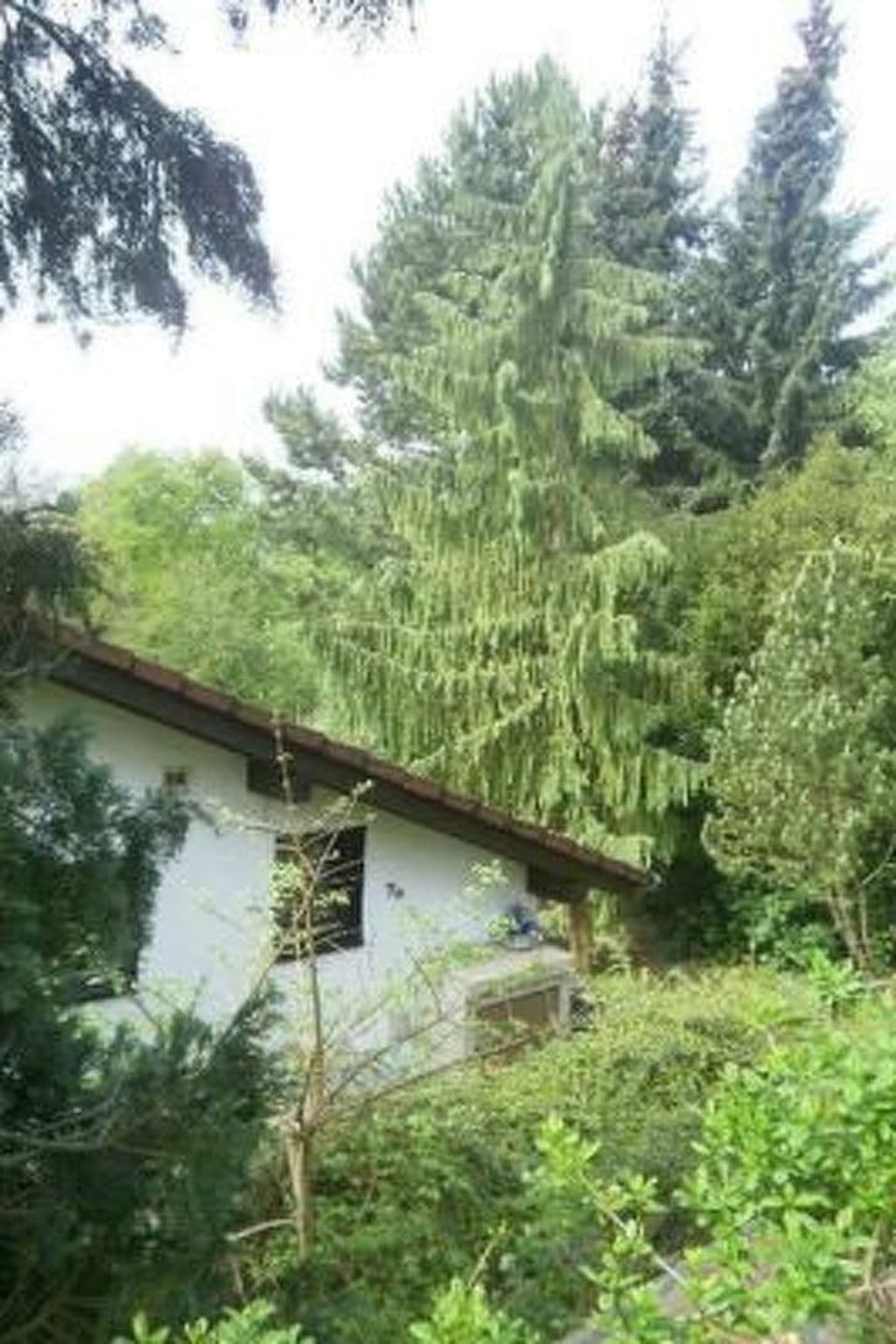 Gallery Image 13