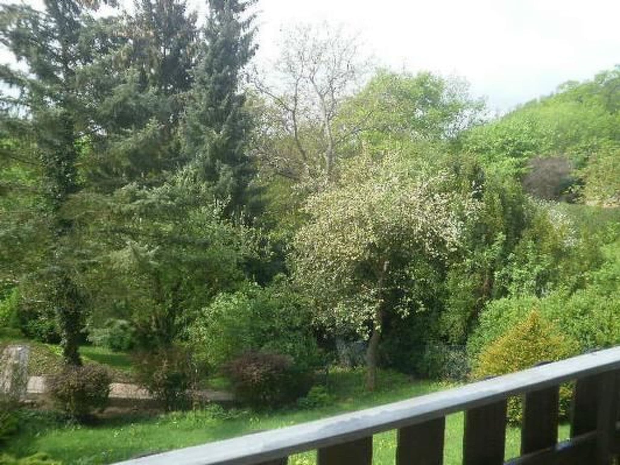 Gallery Image 15
