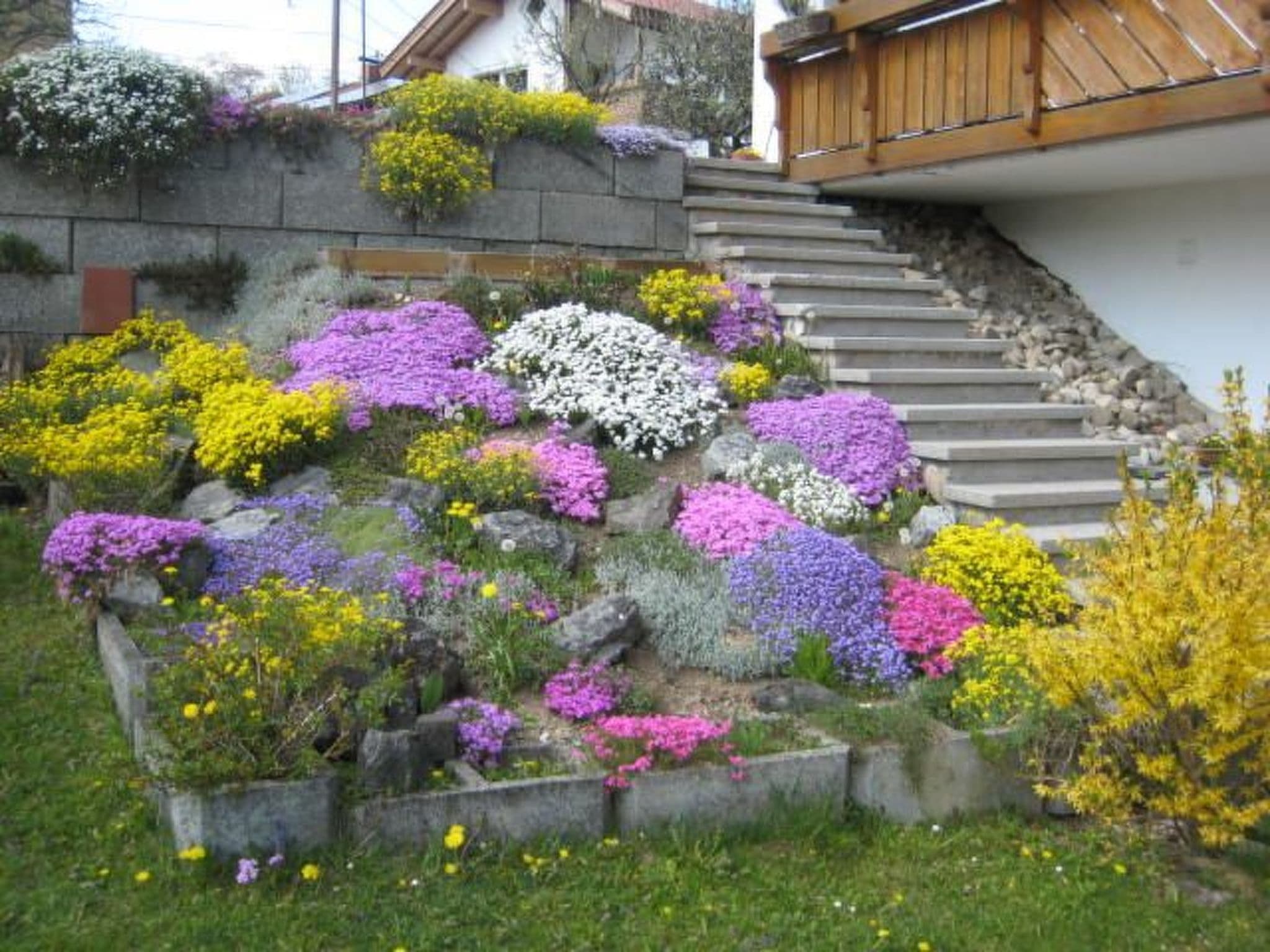 Gallery Image 7