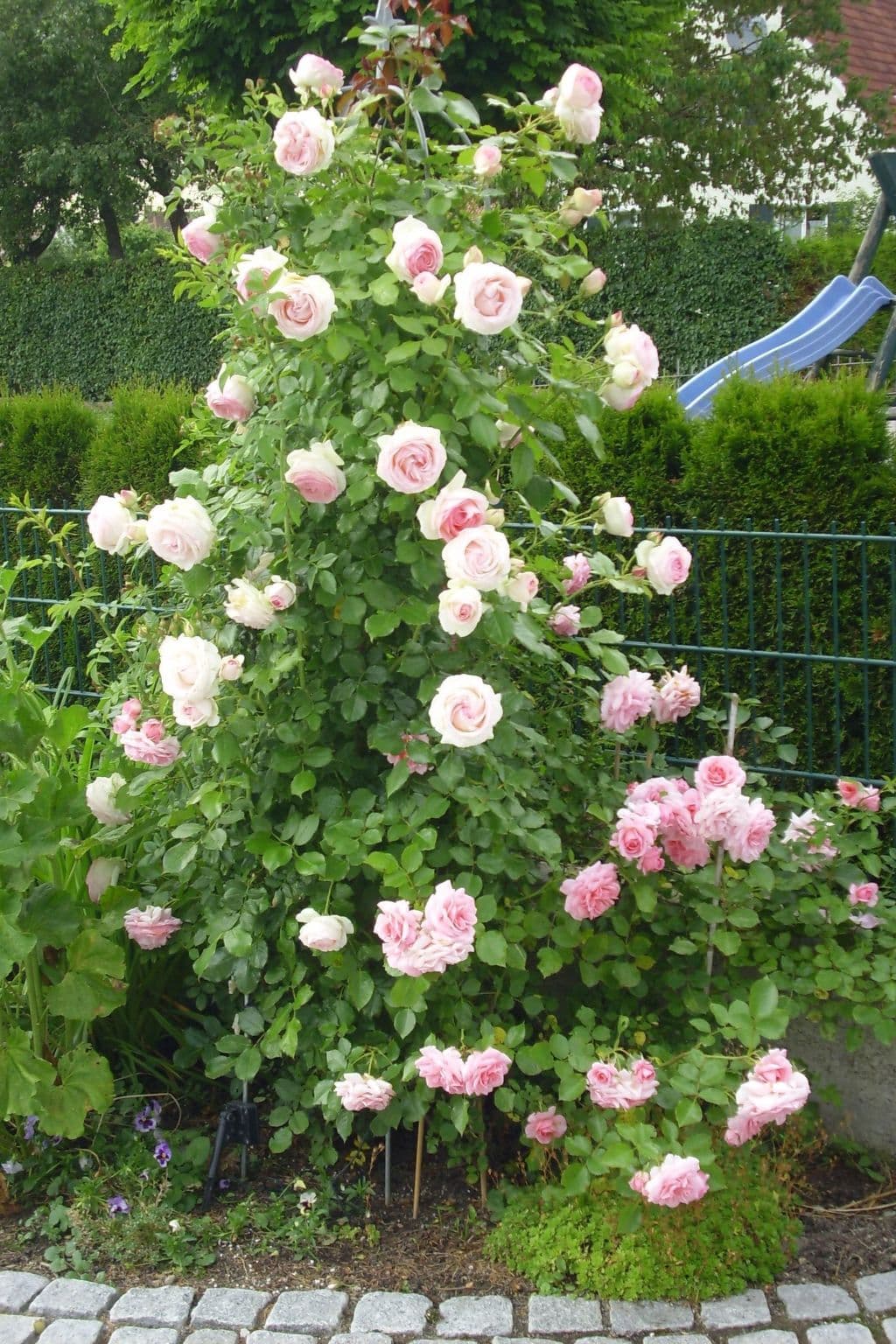 Gallery Image 29