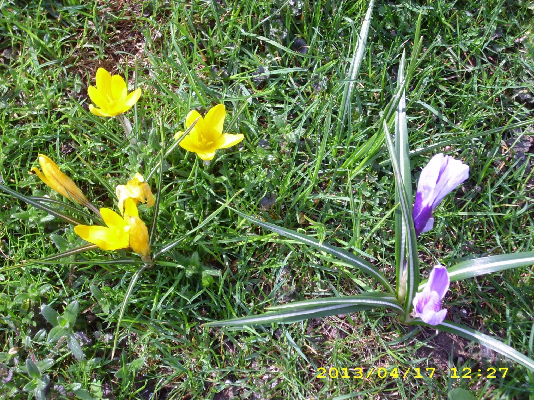 Gallery Image 26
