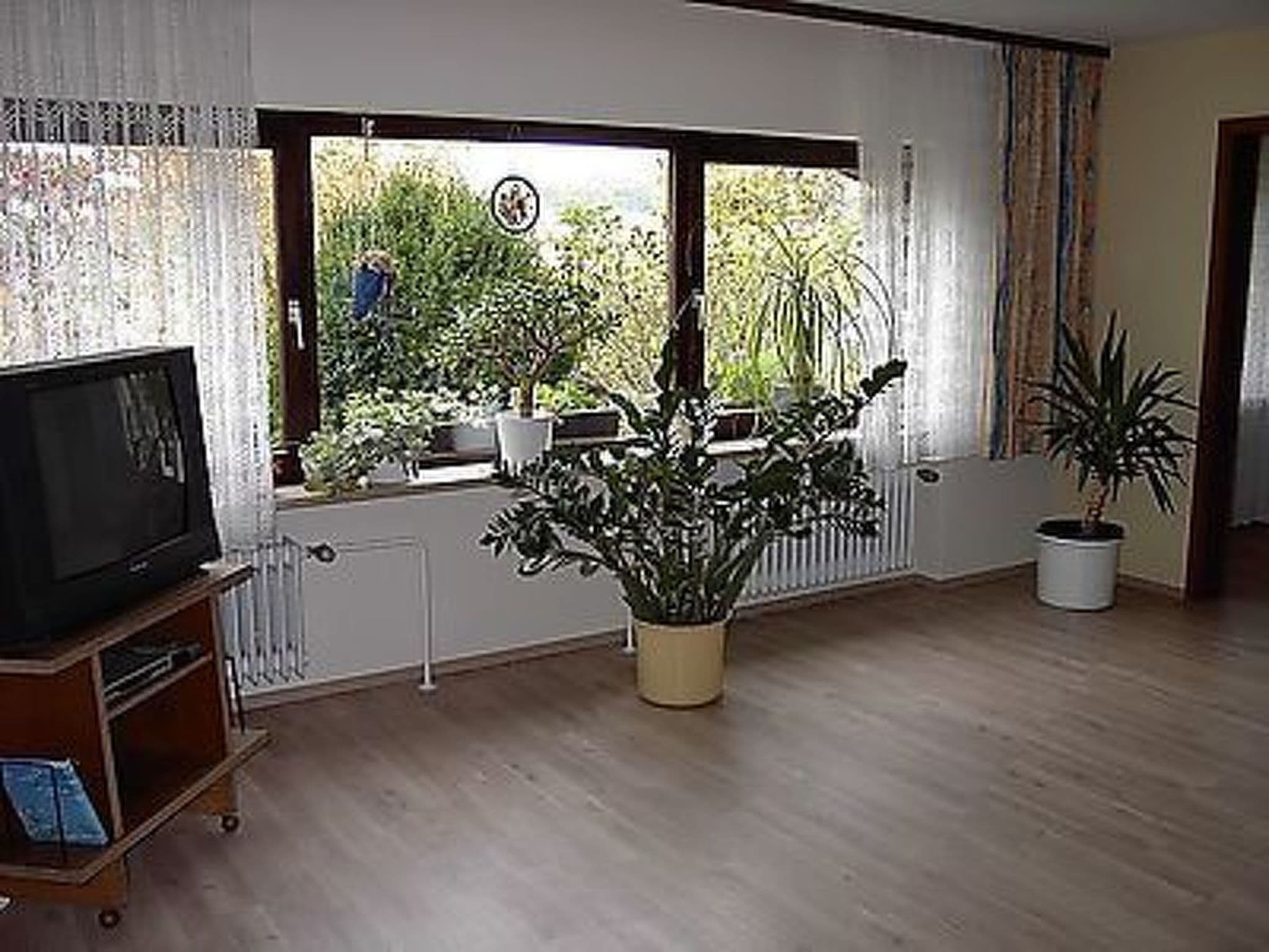 Gallery Image 8