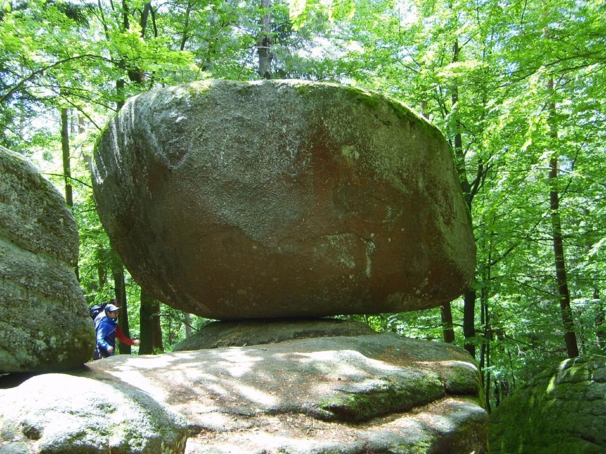 Gallery Image 11