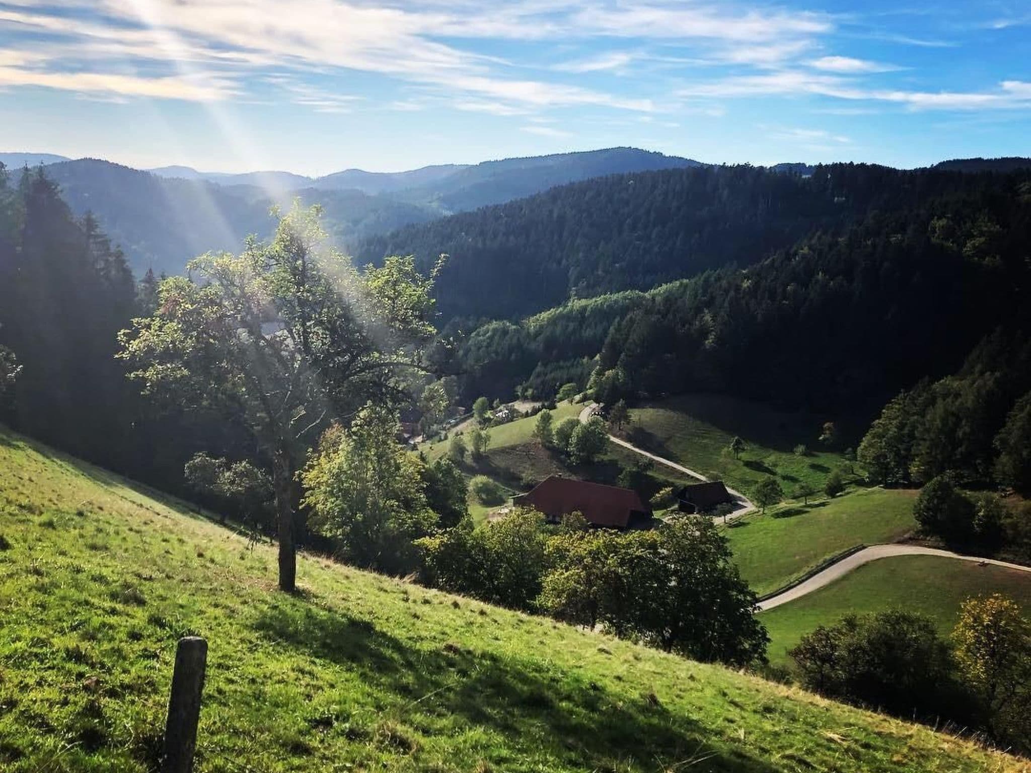 View