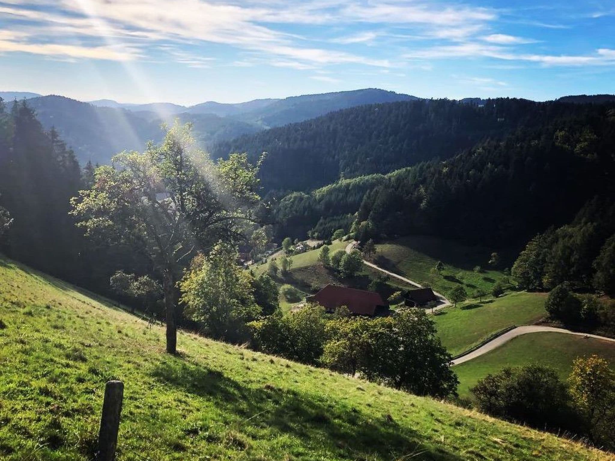 View