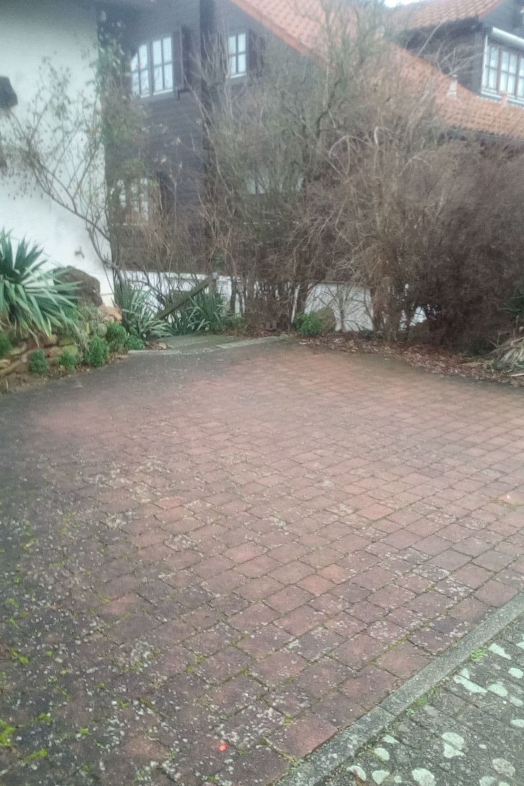Gallery Image 8