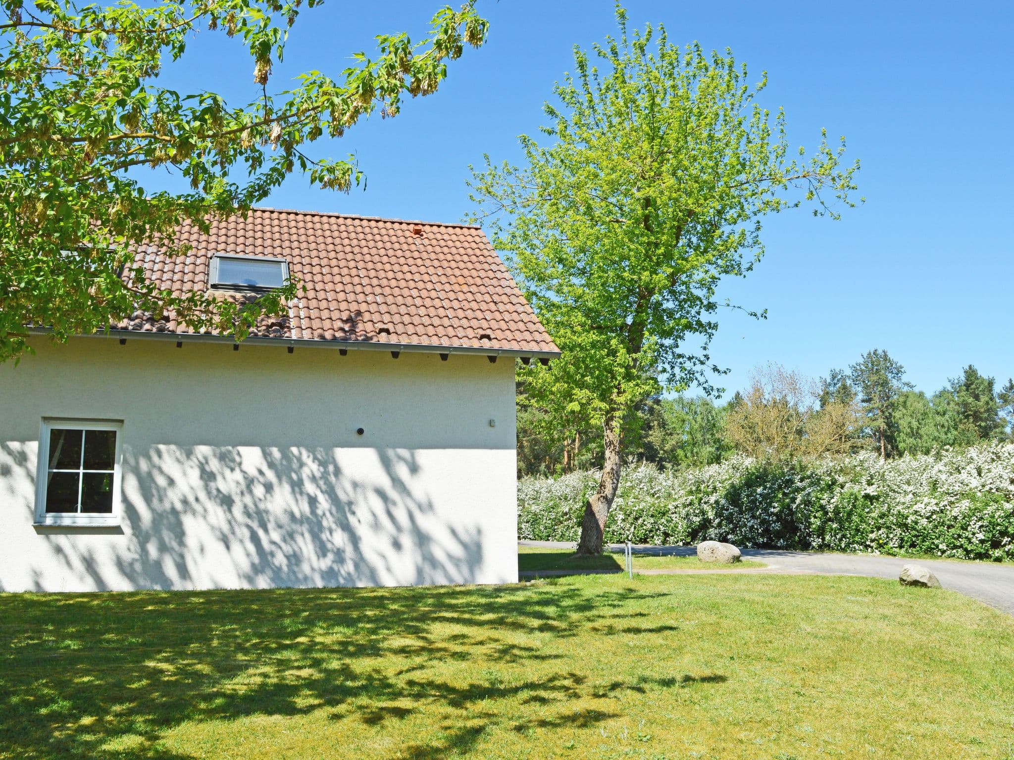 Gallery Image 20
